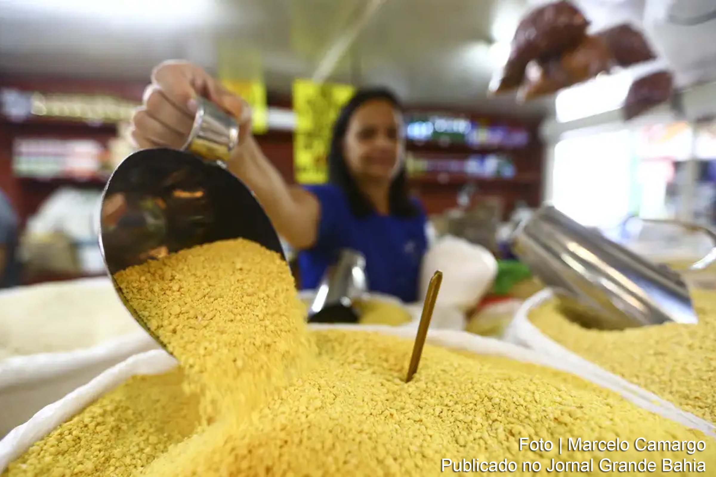 Pesquisa do IBGE revela crescimento na ocupação e detalha perfil dos trabalhadores no Brasil.