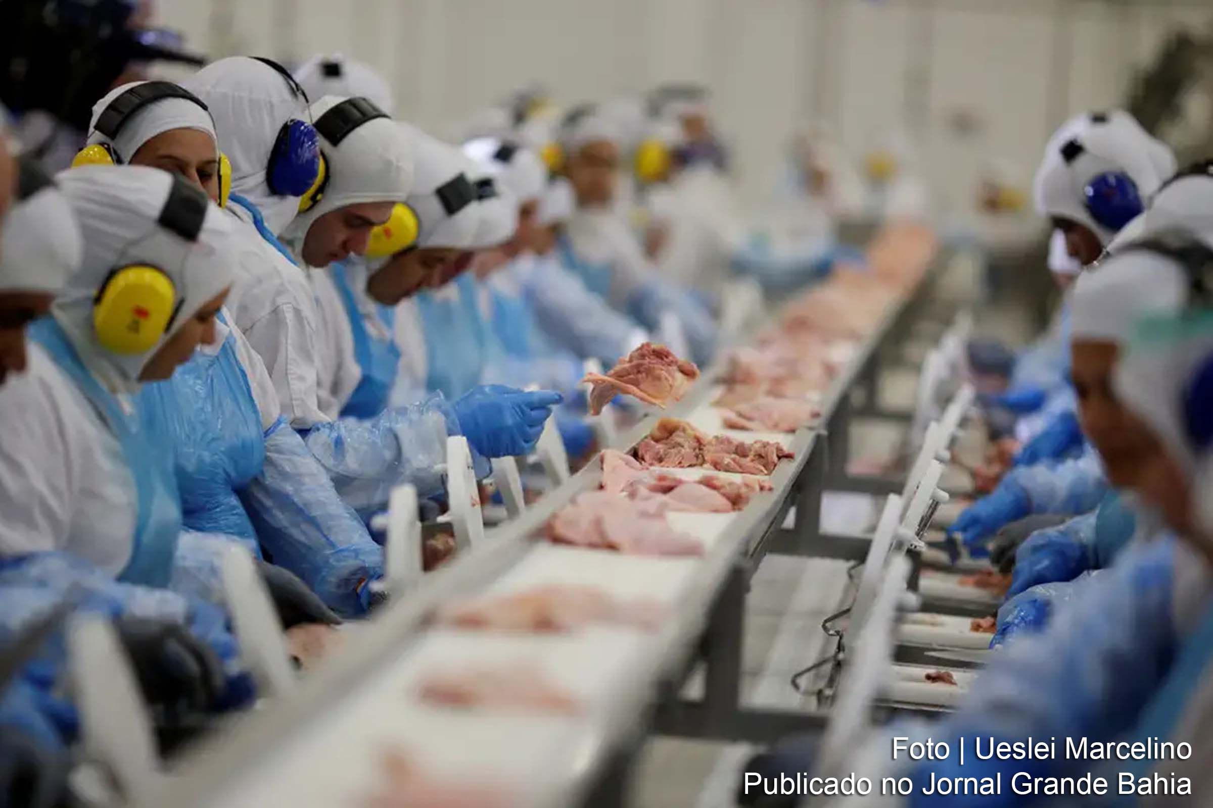 Setor de fabricação de alimentos representa 22,8% dos empregos na indústria brasileira em 2022, segundo dados da Pesquisa Industrial Anual (PIA) Empresa do IBGE.