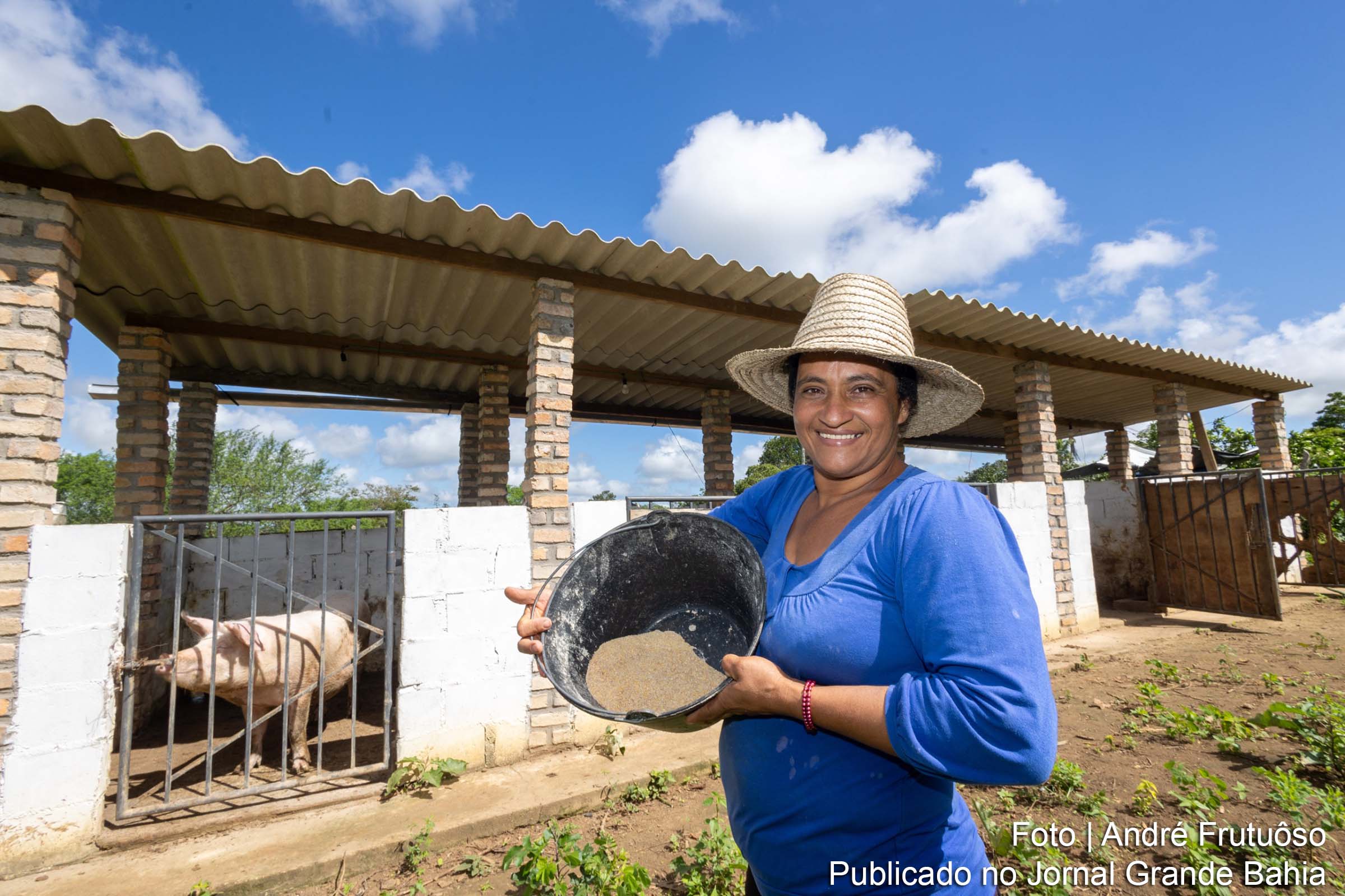 Projeto de suinocultura da CAR traz novas perspectivas de renda para agricultores de Tapera, em Sapeaçu.