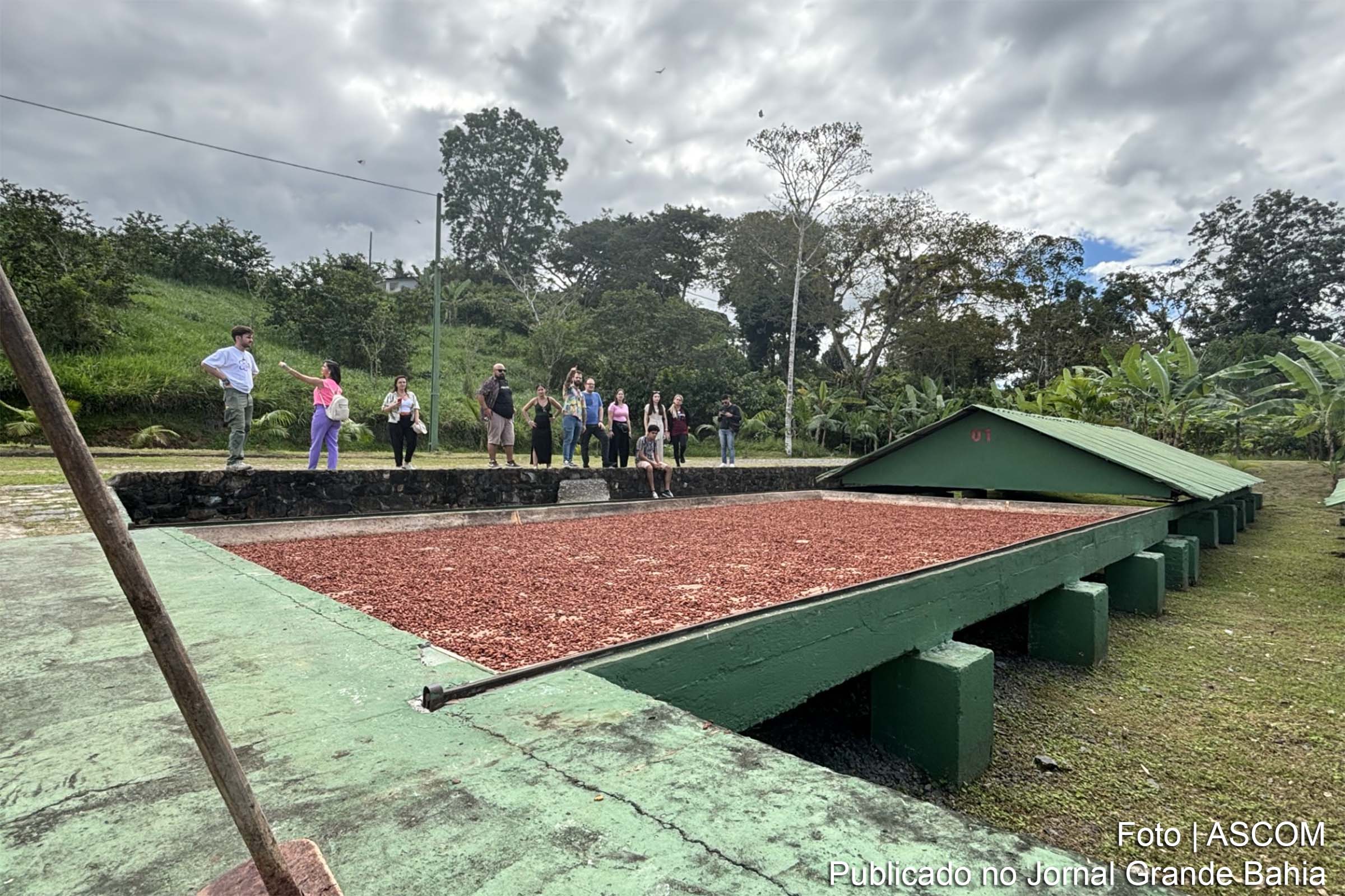 Jornalistas de diferentes países participam de press trip na Estrada do Chocolate, no sul da Bahia, durante o Chocolat Festival em Ilhéus.