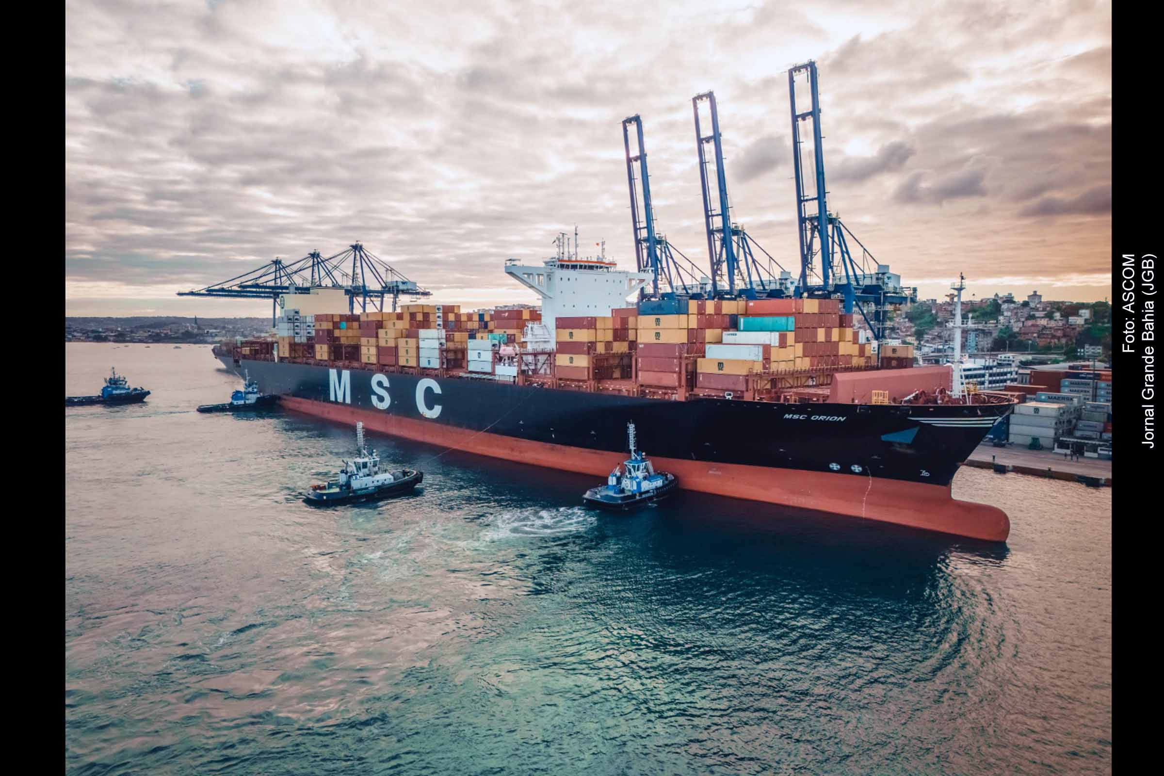 Navio MSC Orion, com 366 metros de comprimento e 16 metros de calado.