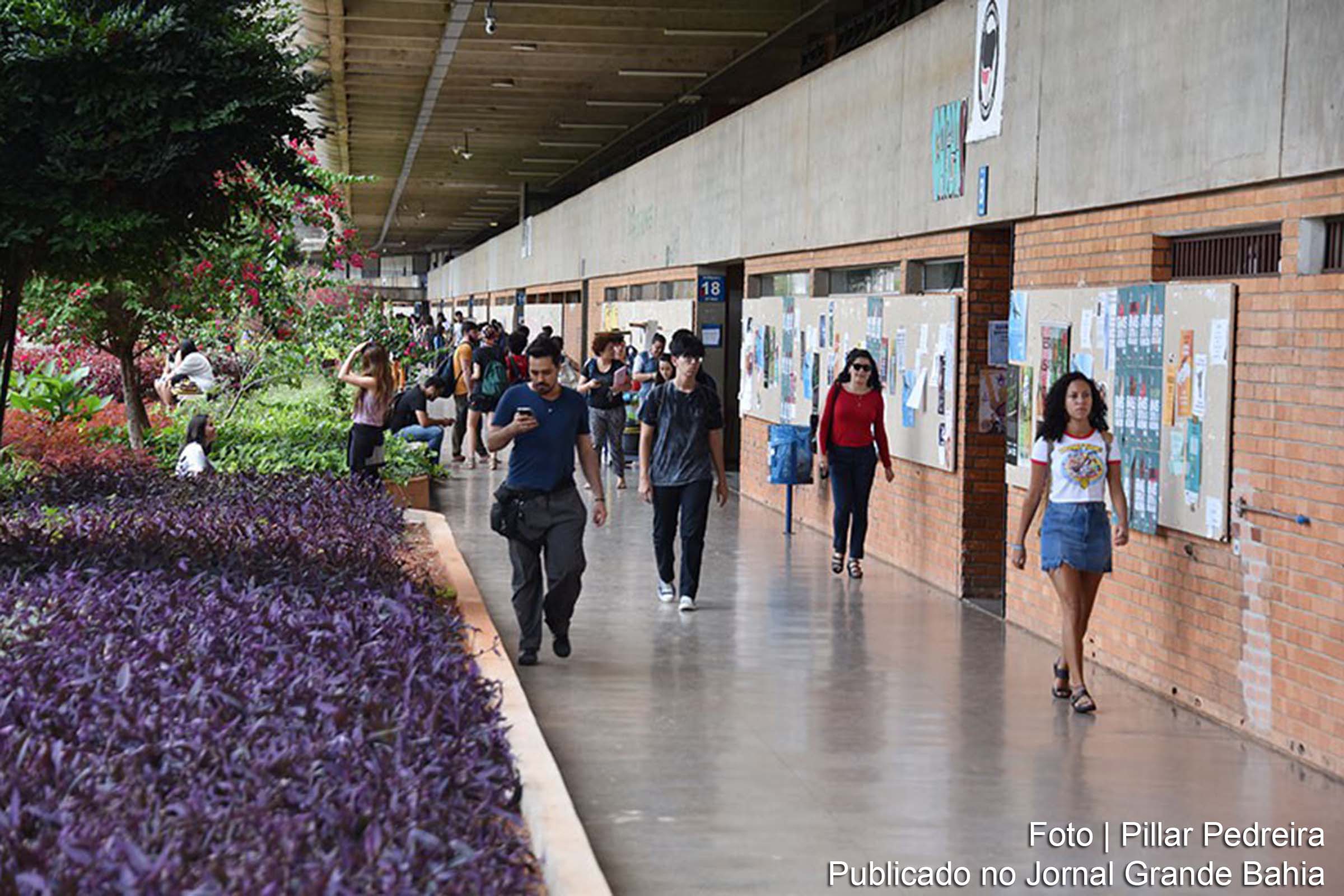 Presidente sanciona lei que reconhece experiências no exterior como parte integrante da formação acadêmica.