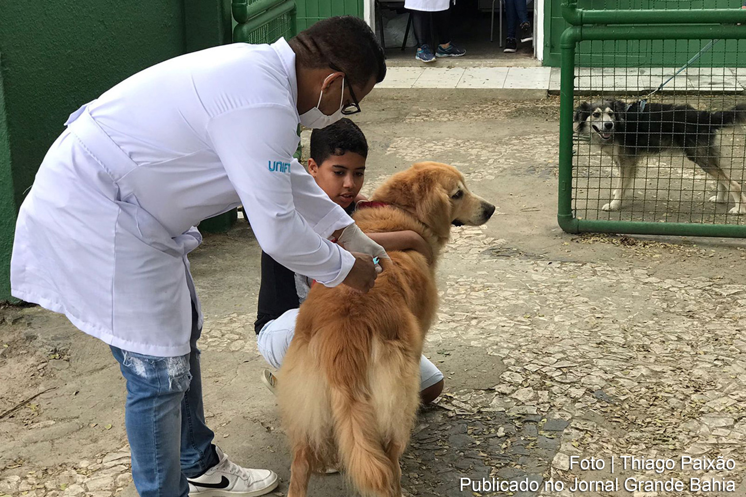 Campanha do Centro de Controle de Zoonoses visa imunizar cães e gatos em diversos pontos da cidade.