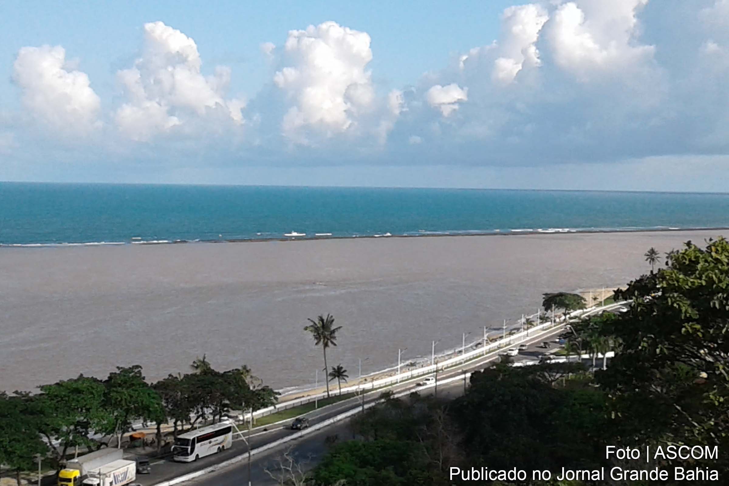 O estudo do Ibama sobre a recuperação e conservação da vegetação nativa na Bahia destaca regiões prioritárias para ações de preservação e recuperação ambiental.