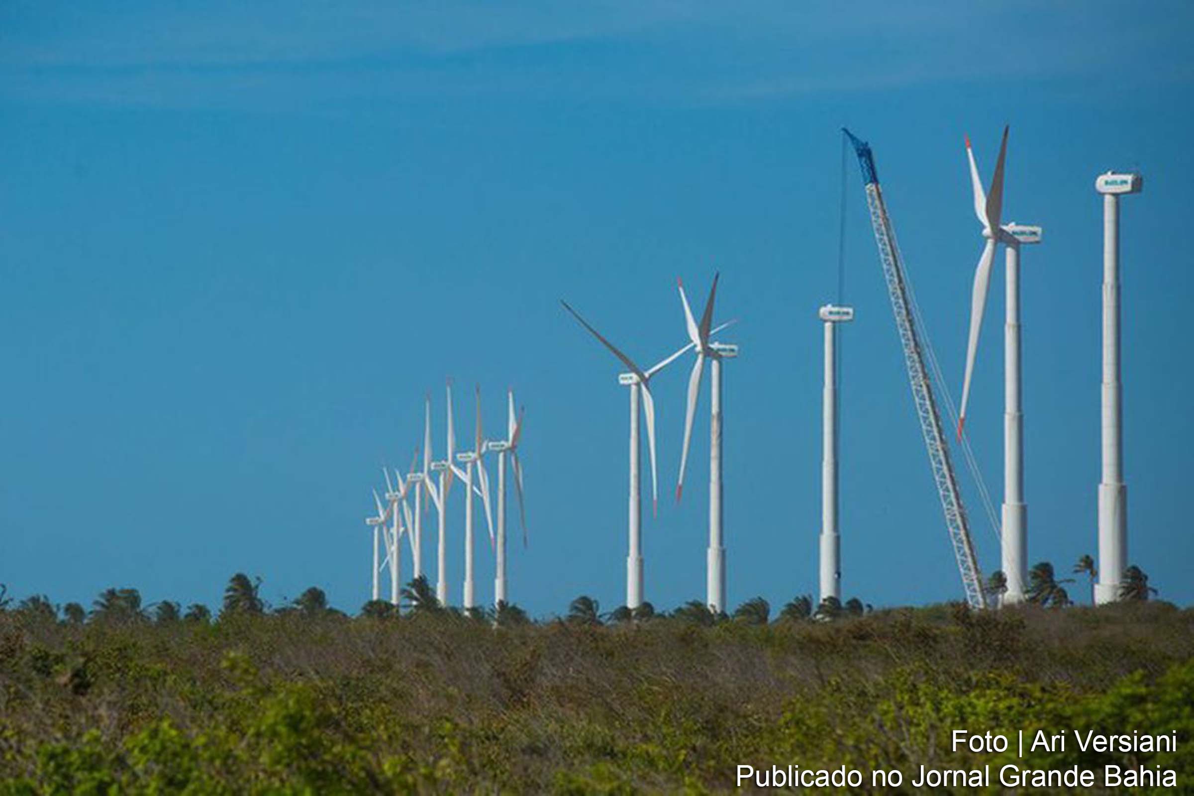 Nordeste registra segundo recorde consecutivo de geração de energia eólica