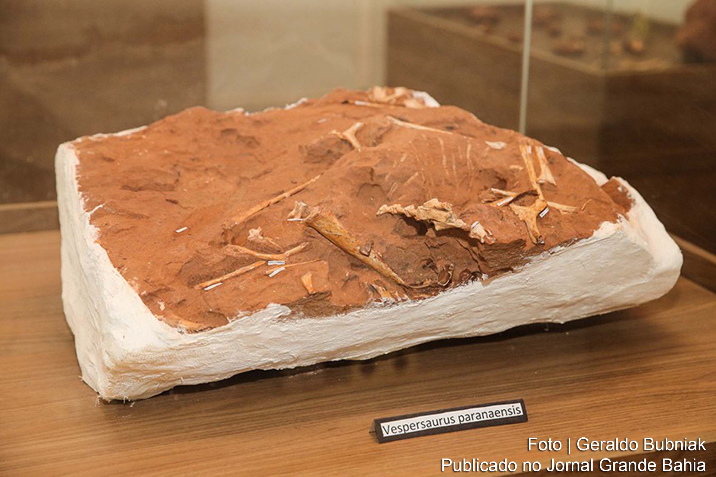 A proposta, originária da Câmara dos Deputados, recebeu parecer favorável e segue para a sanção presidencial.