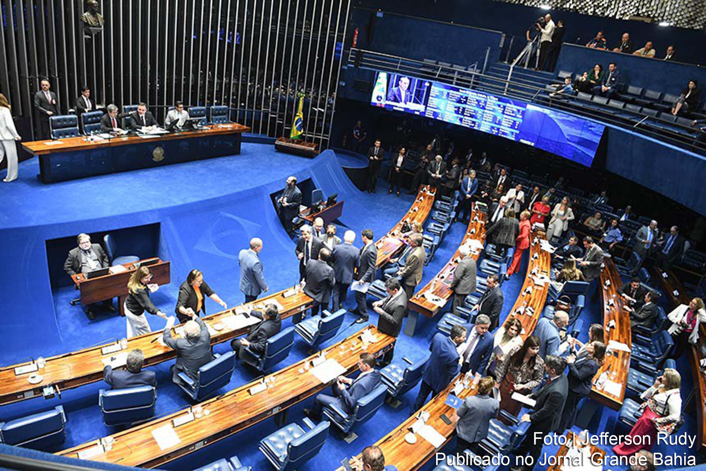 PL 2.218/2022, que recebeu parecer favorável na Comissão de Agricultura, busca promover a produtividade e sustentabilidade da cultura do coco.