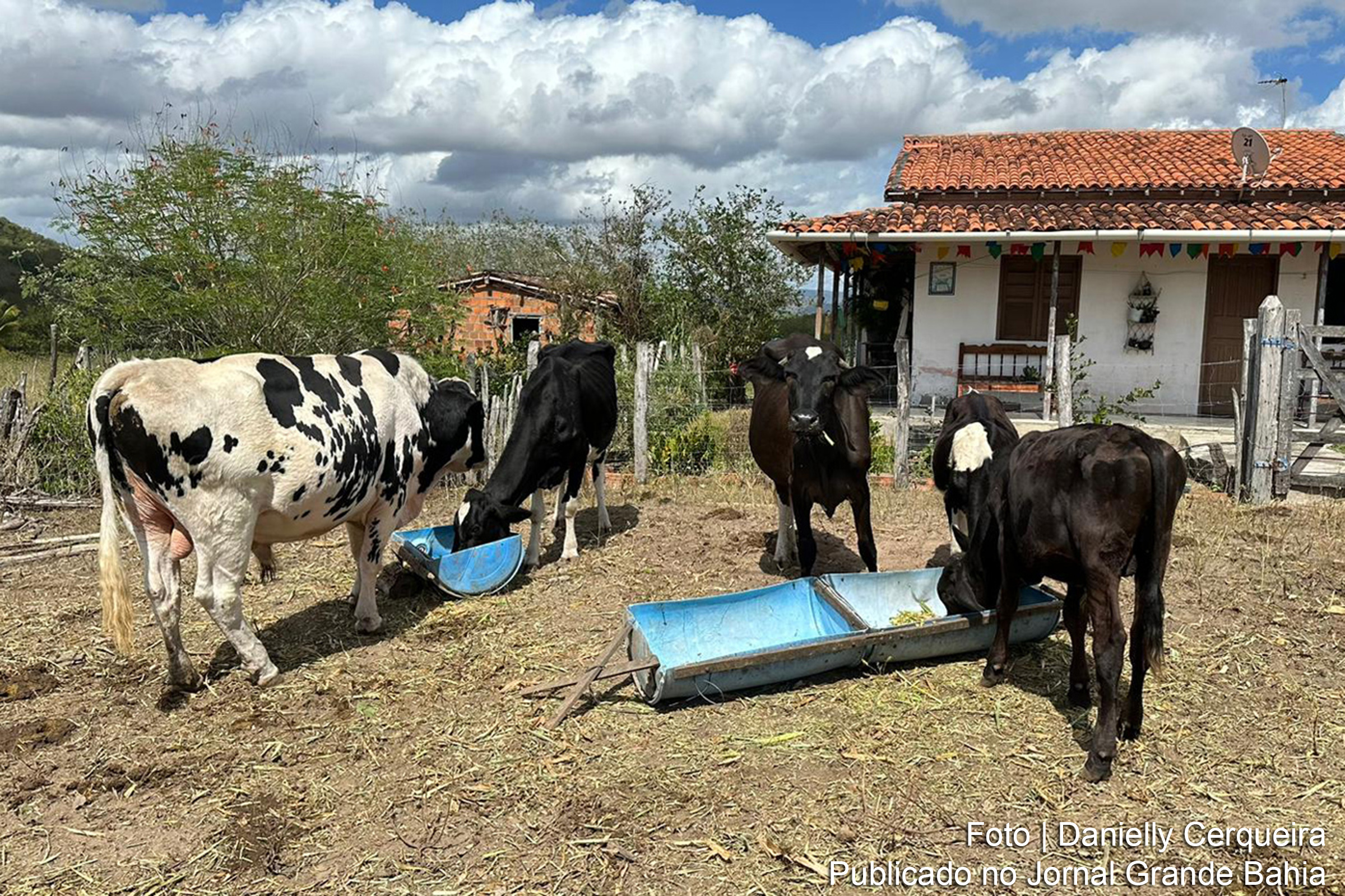 Cadastramento de produtores rurais para o Programa Mais Pecuária Brasil é iniciado em Jaguara, com foco no melhoramento genético de rebanhos.