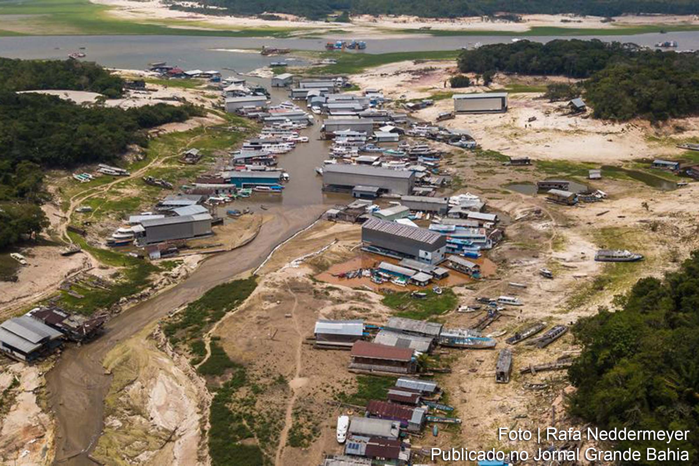 Novo título de dívida do Banco Mundial visa financiar o reflorestamento da Amazônia, ligando retornos financeiros à quantidade de carbono retirado da atmosfera.