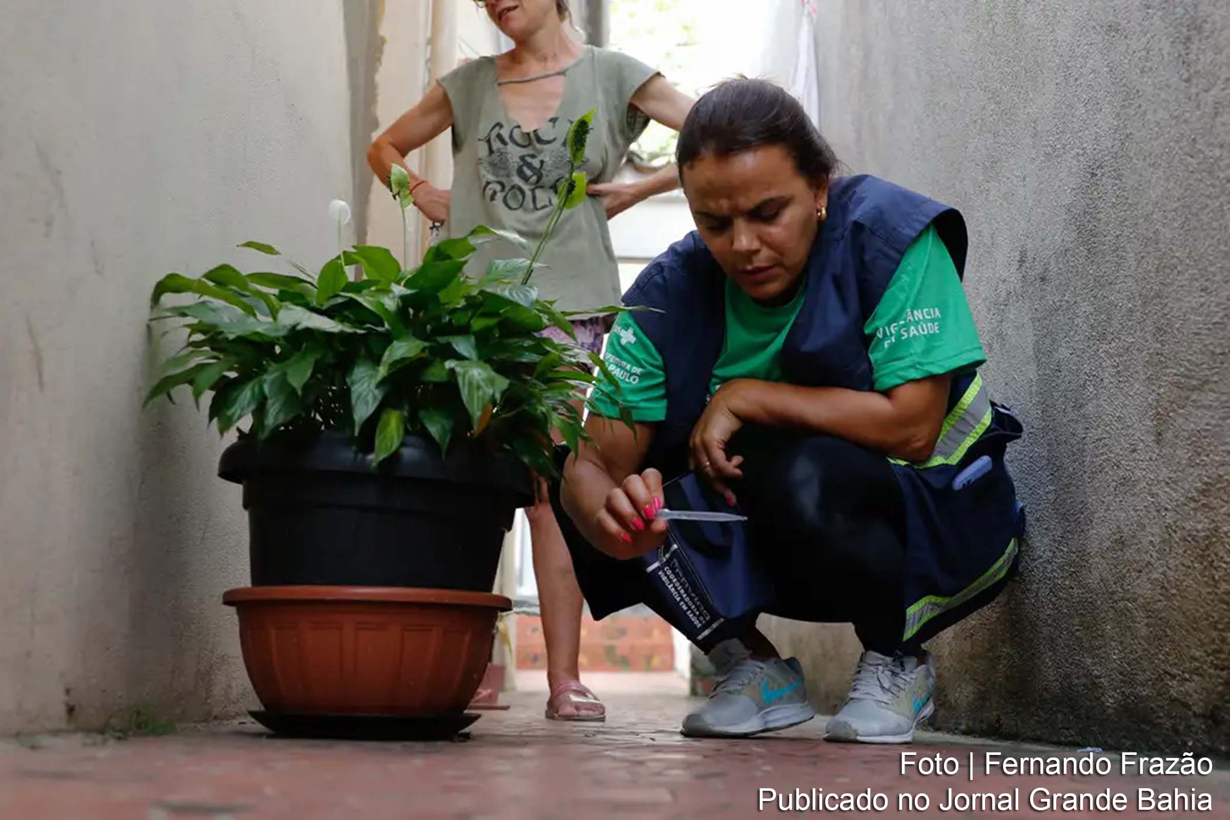 O Brasil se aproxima de 5 mil mortes por dengue em 2024, com uma taxa de letalidade de 0,08 e a maioria dos casos concentrados nas faixas etárias de 20 a 59 anos.