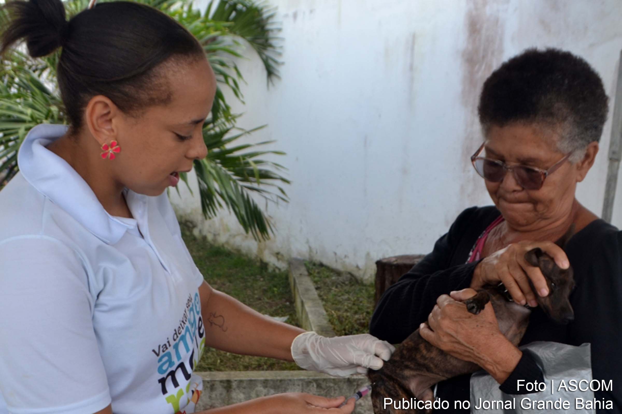 Campanha de Vacinação Antirrábica para cães e gatos em Feira de Santana abrange dez bairros neste sábado (10/08/2024).
