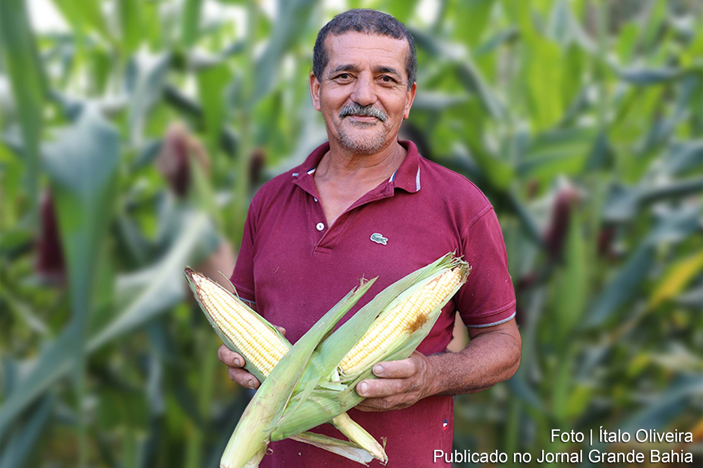 Agricultores familiares da Região 1 da Bahia têm até 21 de outubro de 2024 para se inscrever no Programa Garantia-Safra.