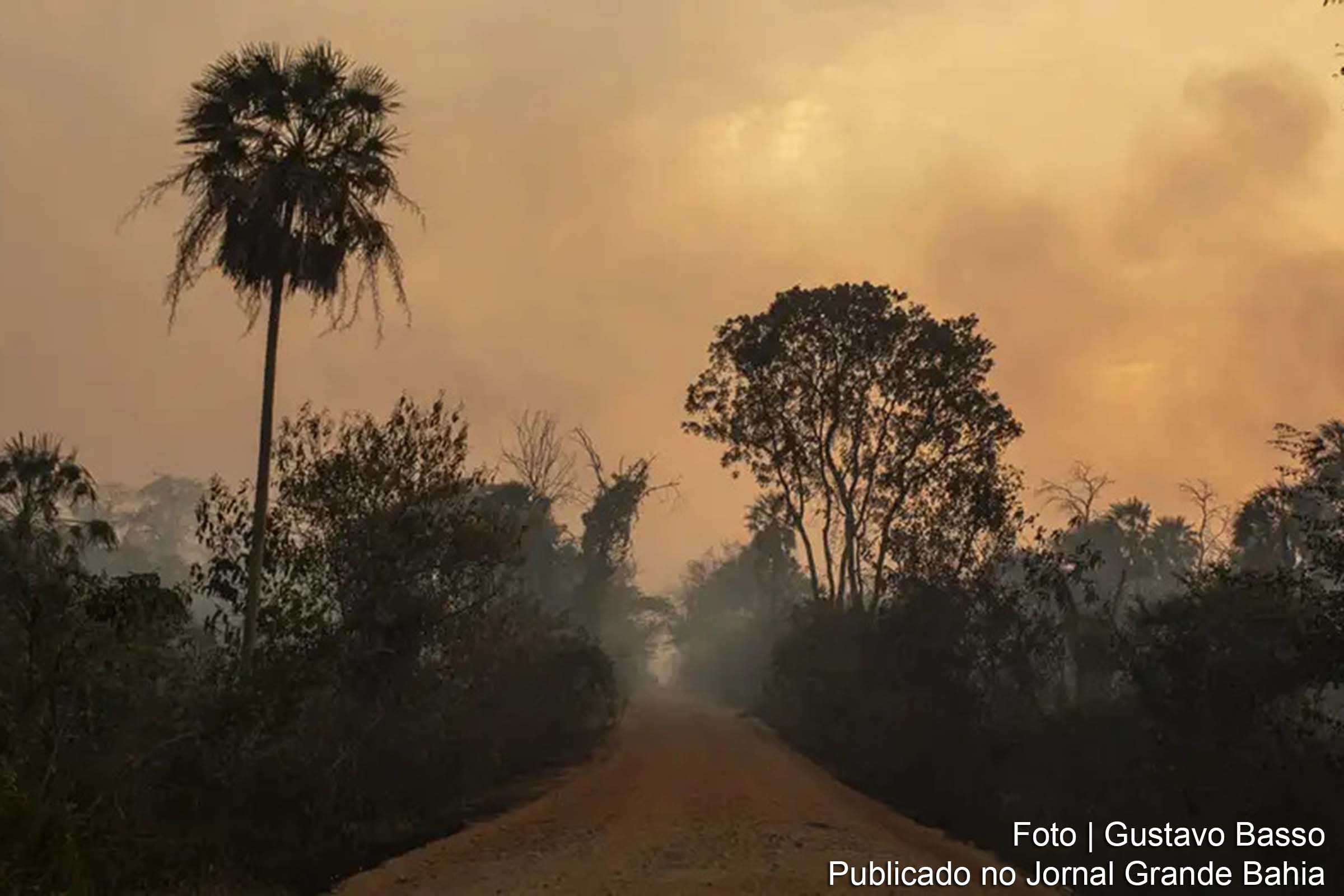 Relatório da ONG Mighty Earth revela que o pecuarista Claudecy Oliveira Lemes e as empresas JBS, Marfrig e Minerva estão envolvidos no maior desmatamento químico do Pantanal.