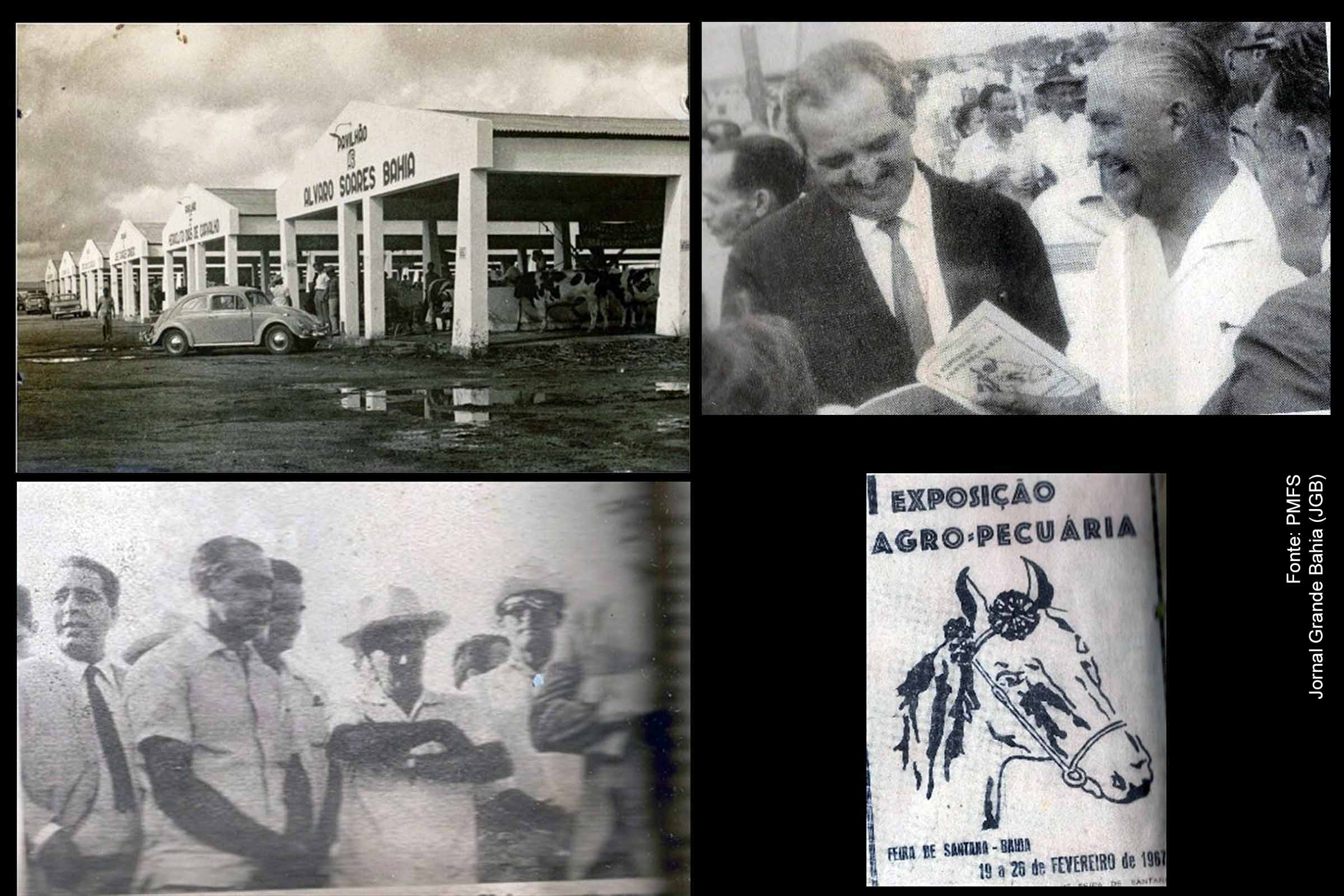 Fundação do Parque de Exposições João Martins da Silva: um marco no agronegócio de Feira de Santana e da Bahia