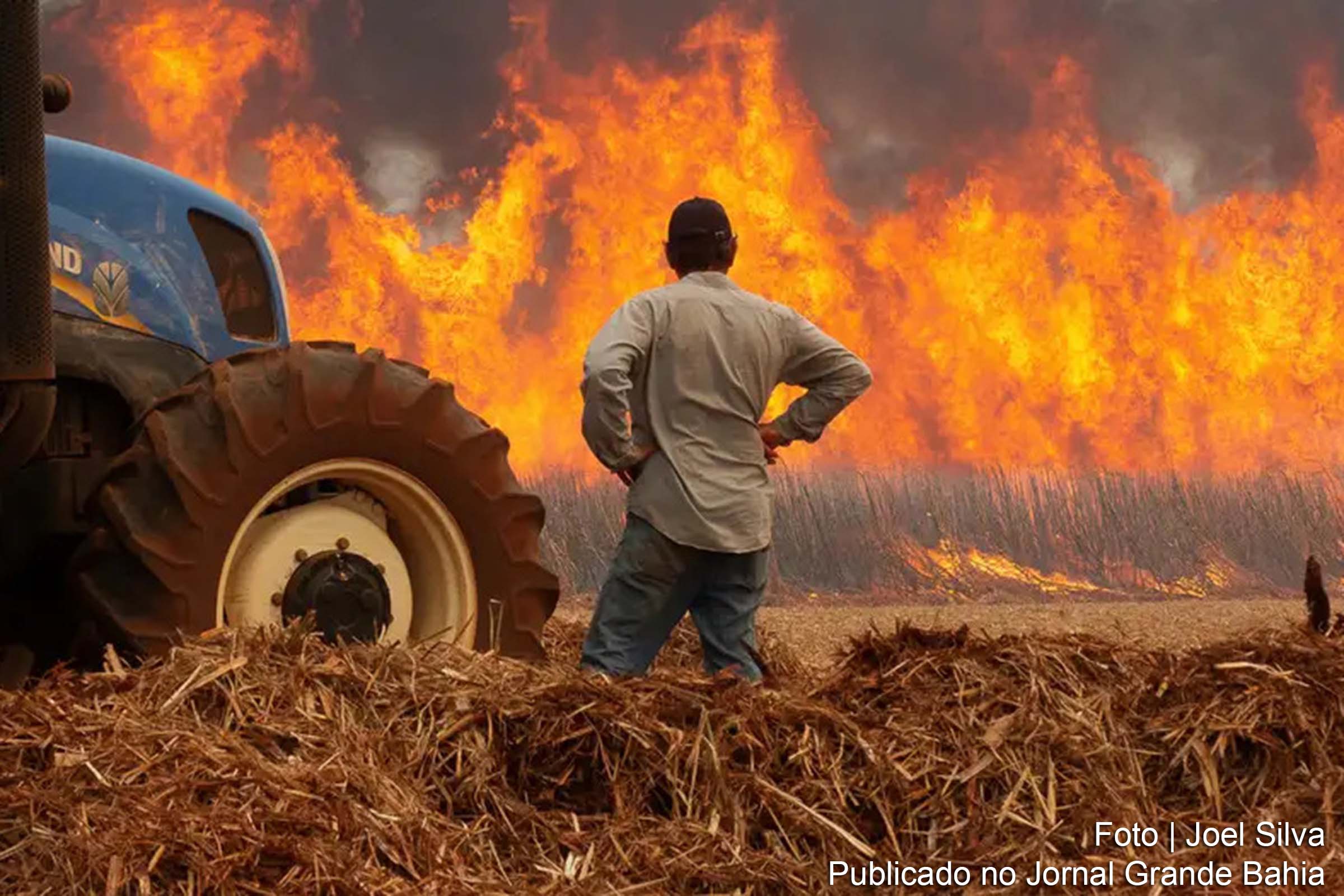 Incêndios florestais devastam diversos biomas no Brasil, incluindo Amazônia, Pantanal e Cerrado.