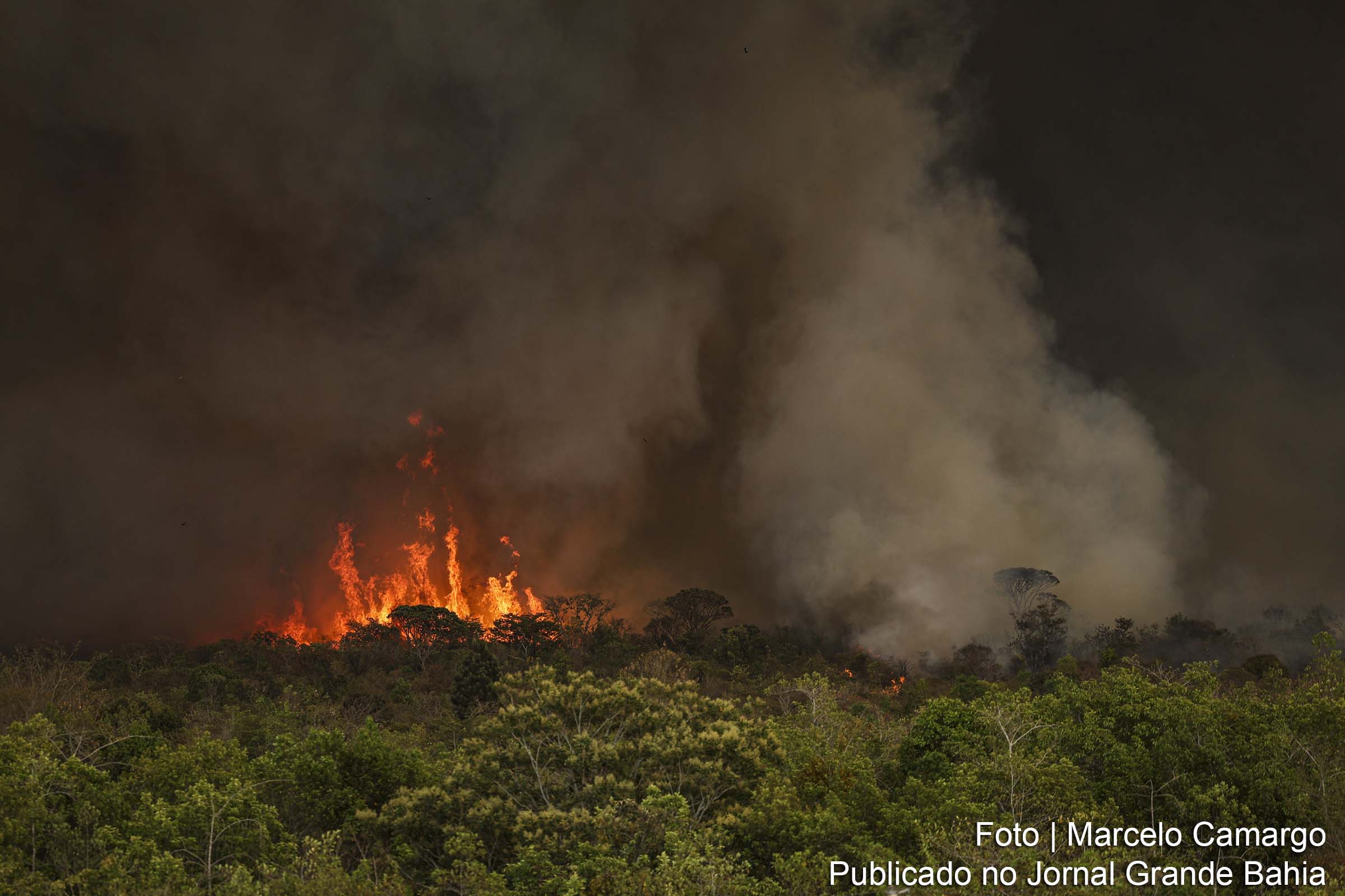 Incêndios florestais na Amazônia levantam preocupações sobre a degradação da vegetação nativa e a qualidade do ar.