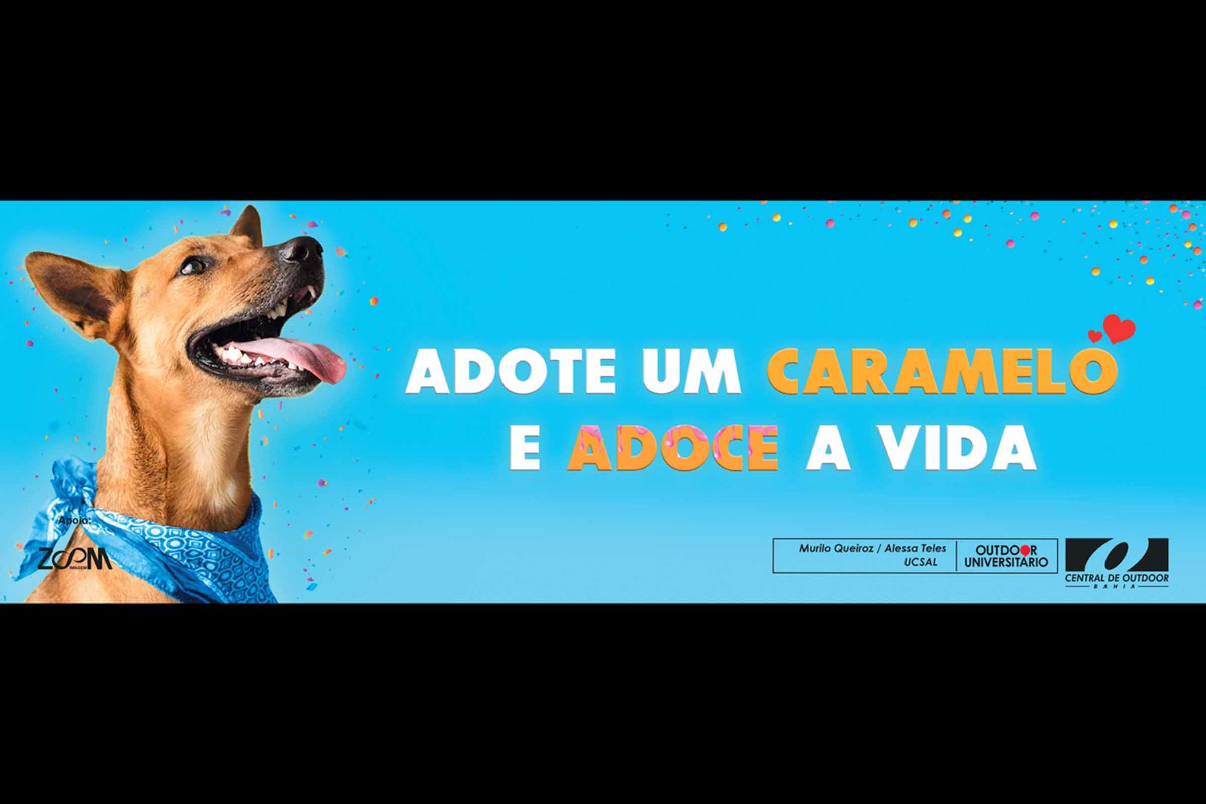 Murilo Queiroz e Alessa Teles, da UCSal, finalistas do Outdoor Universitário com peça sobre adoção de animais.