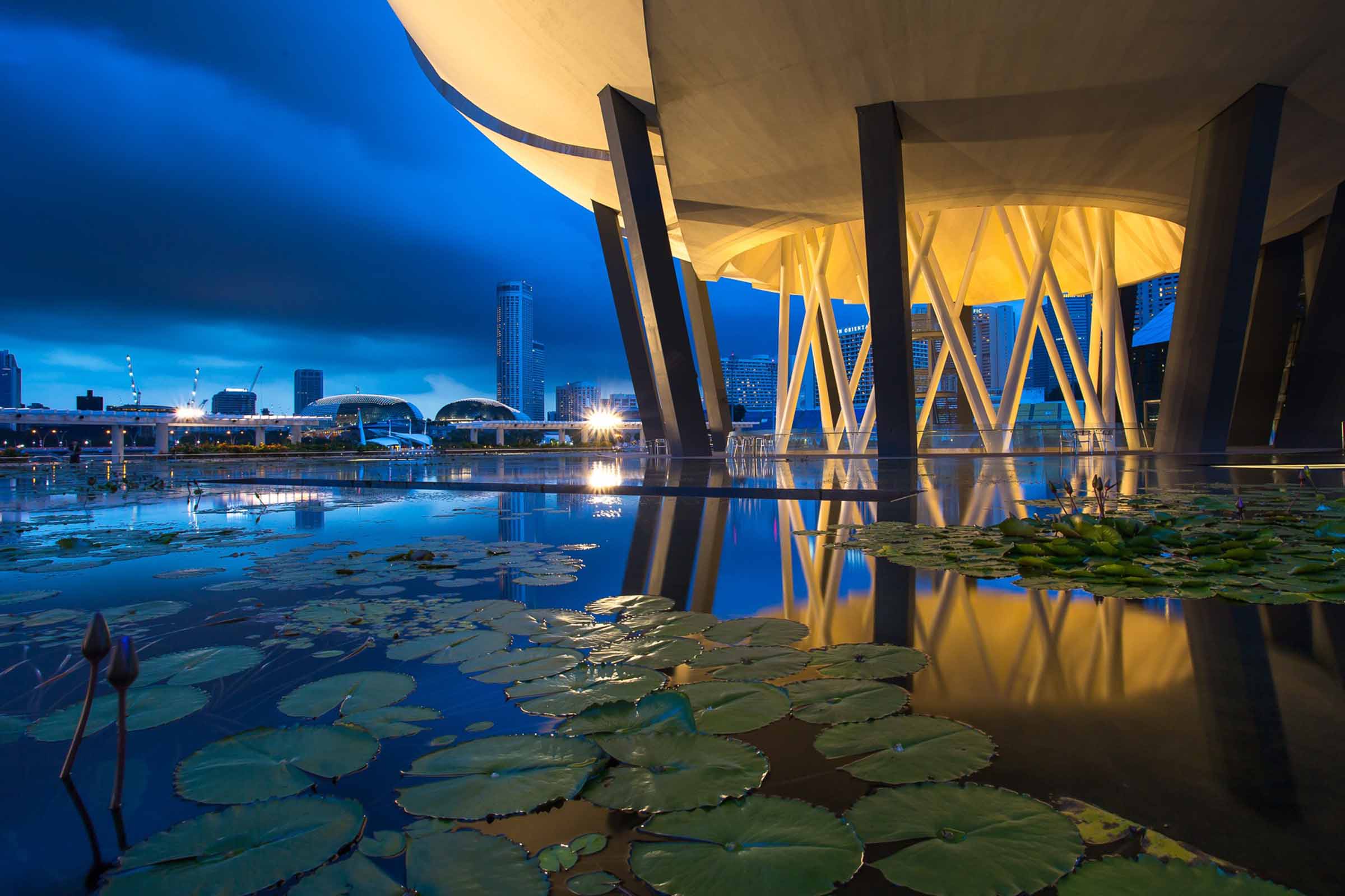 Faceb e Sebrae organizam missão empresarial à China para fortalecer comércio e indústria da Bahia