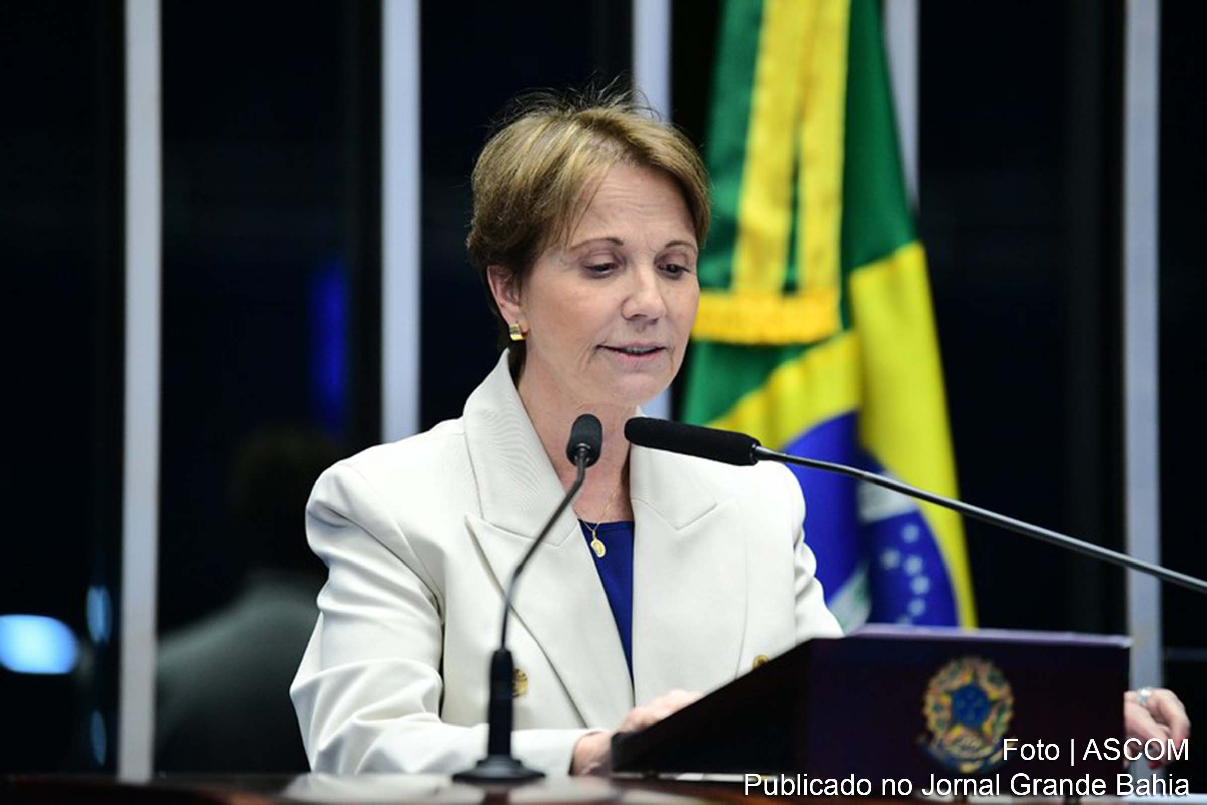 O PL 2.052/2024, relatado pela senadora Tereza Cristina (PP-MS), será enviado para sanção presidencial após ser apreciado em regime de urgência.