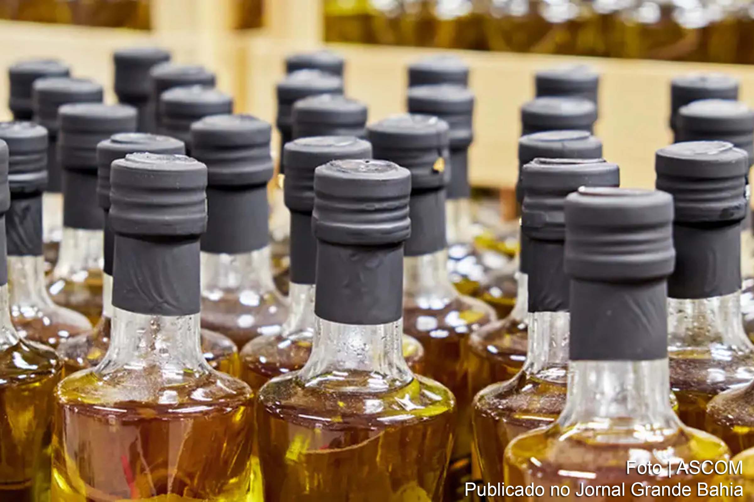 Ministério da Agricultura intensifica ações contra adulteração de azeites, com apreensões de 100 mil litros e interdições em empresas de envase e comercialização.