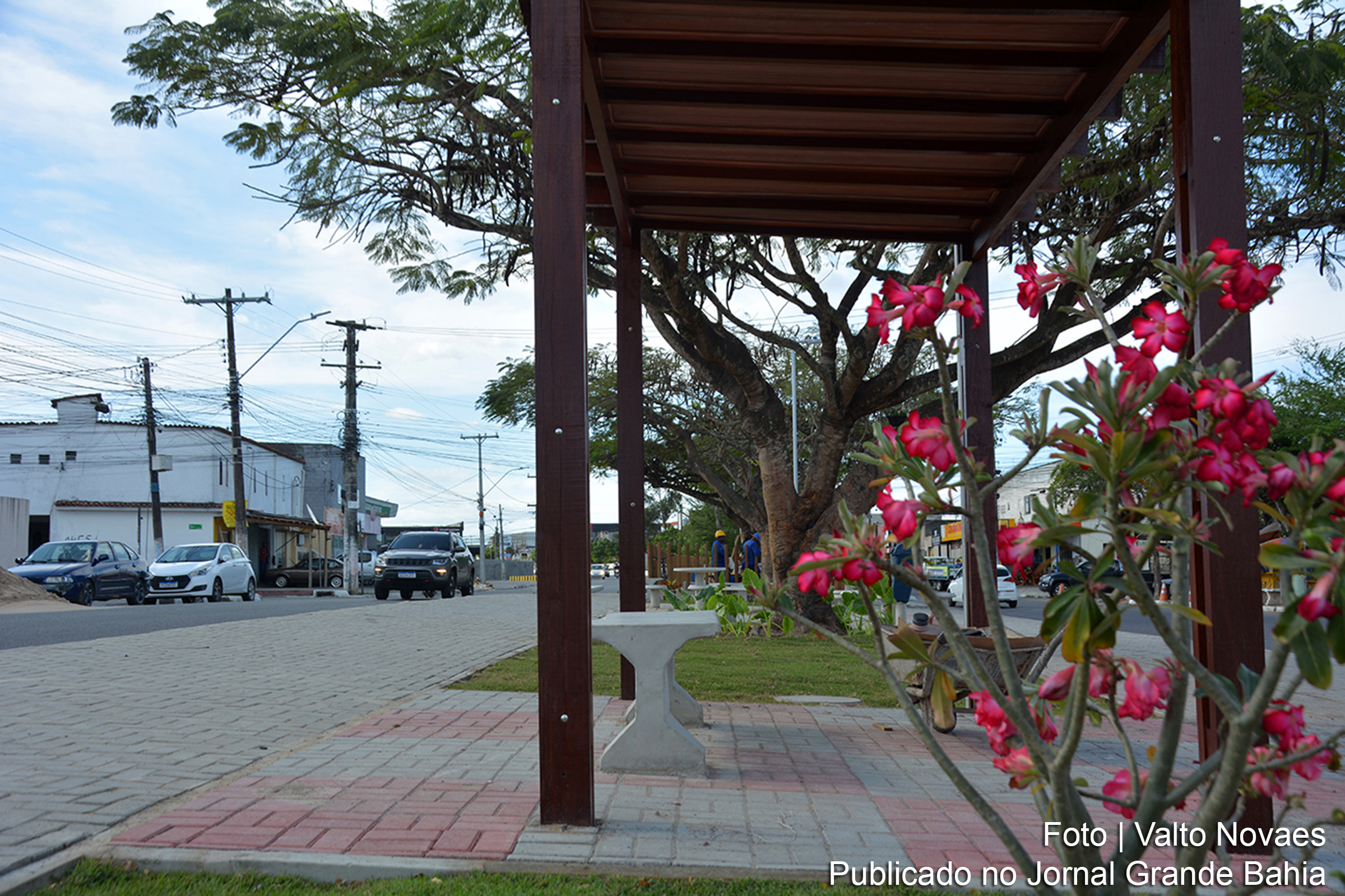 Expansão de espaços públicos em Feira de Santana promove atividades físicas e contato com a natureza