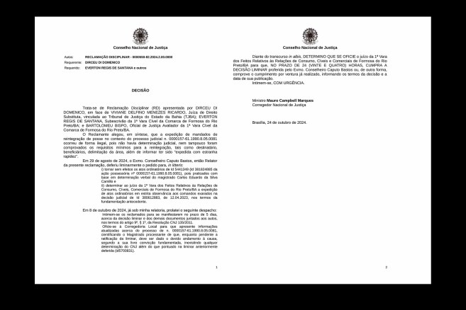 Decisão do CNJ em reclamação disciplinar atinge a juíza Viviane Delfino Menezes Ricardo.