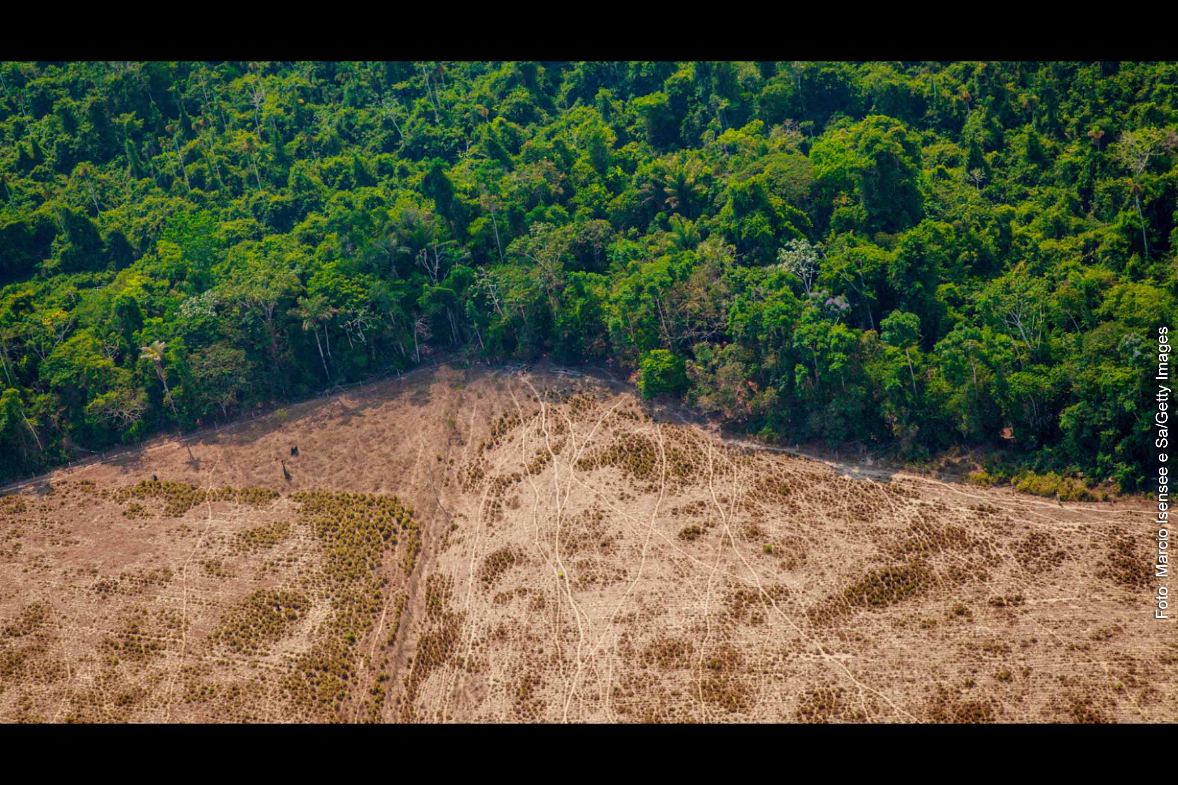 Relatório da ONU indica necessidade de redução de 42% nas emissões de gases de efeito estufa até 2030