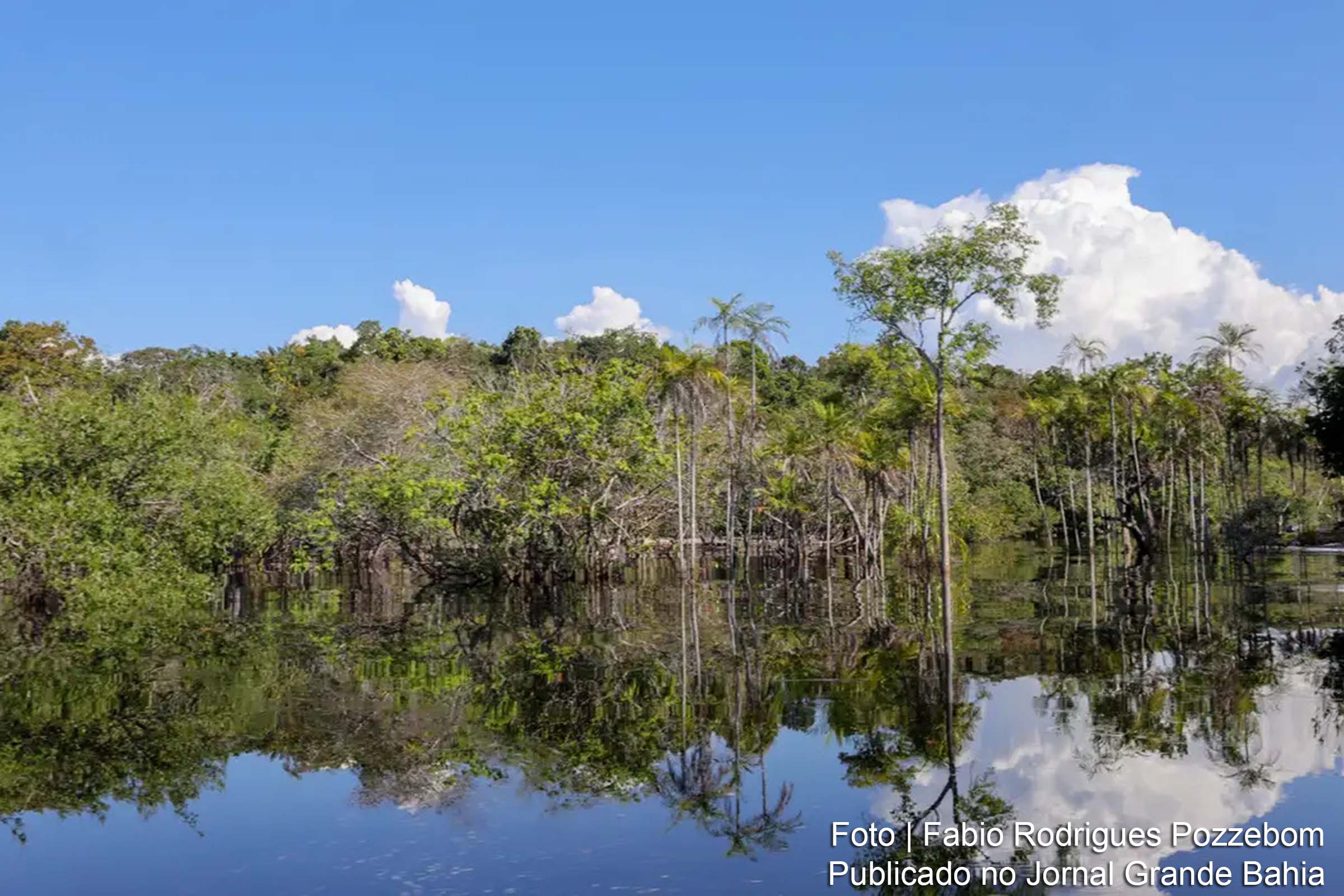 Rio Negro em Manaus registra um dos menores níveis de sua história, afetando a vida de milhares de pessoas no estado do Amazonas.