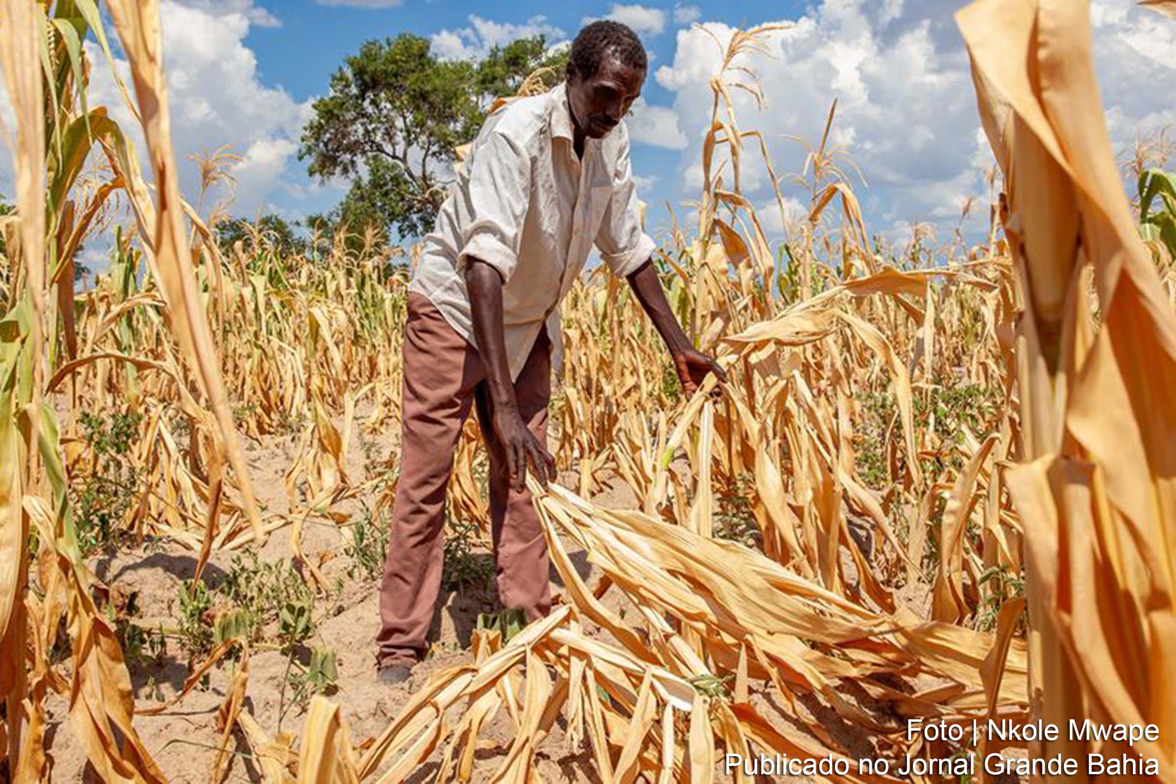 Encontro global marca os 10 anos da Reunião de Alto Nível sobre Política Nacional de Seca na Organização Meteorológica Mundial.