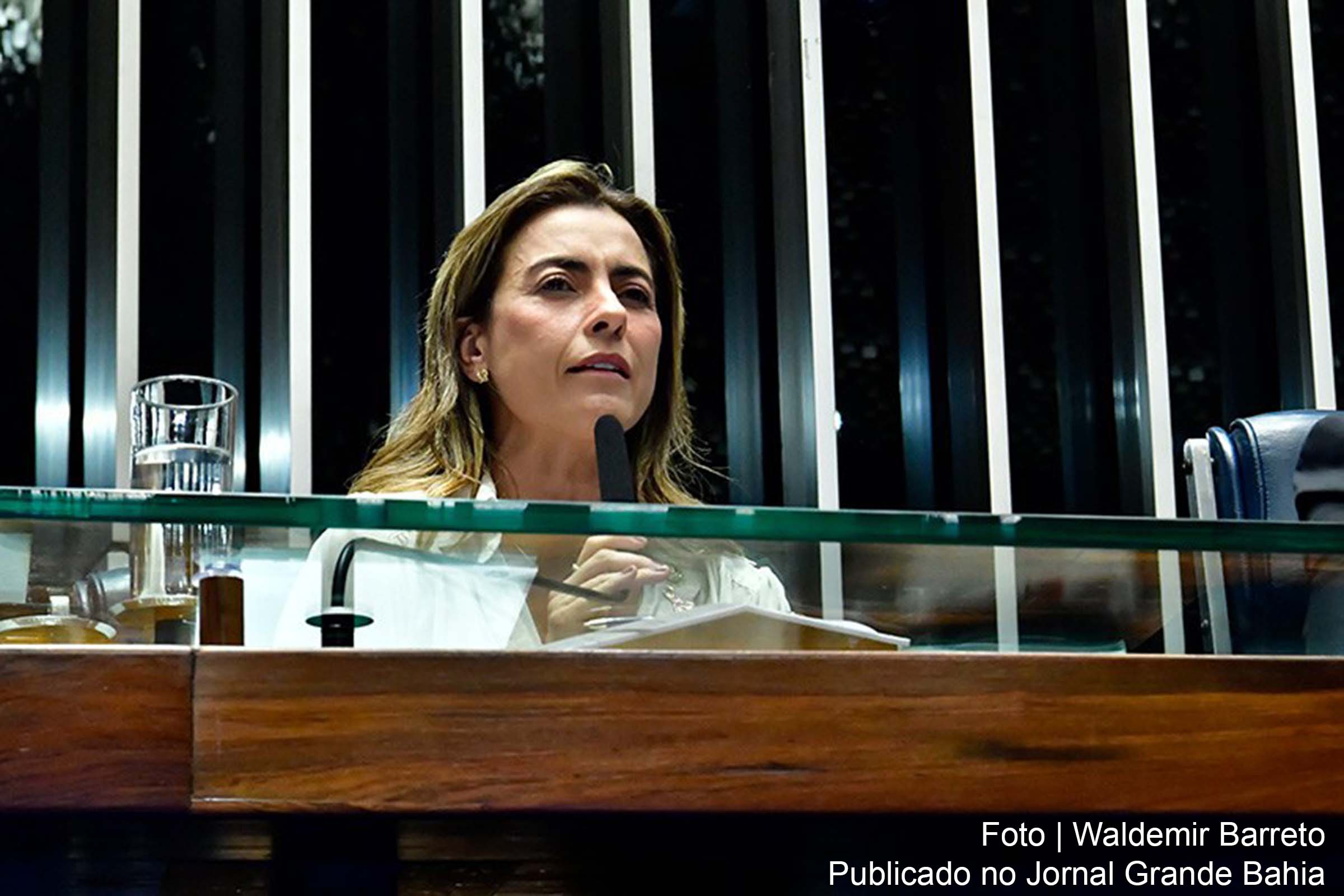 O requerimento para a formação da CPI foi apresentado pela senadora Soraya Thronicke.