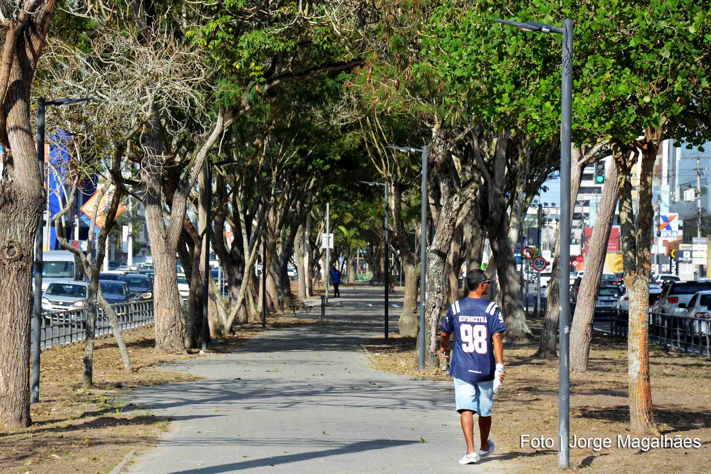O prefeito Colbert Martins Filho assina o Decreto Nº 13.663, que estabelece o Plano Diretor de Arborização Urbana para Feira de Santana.