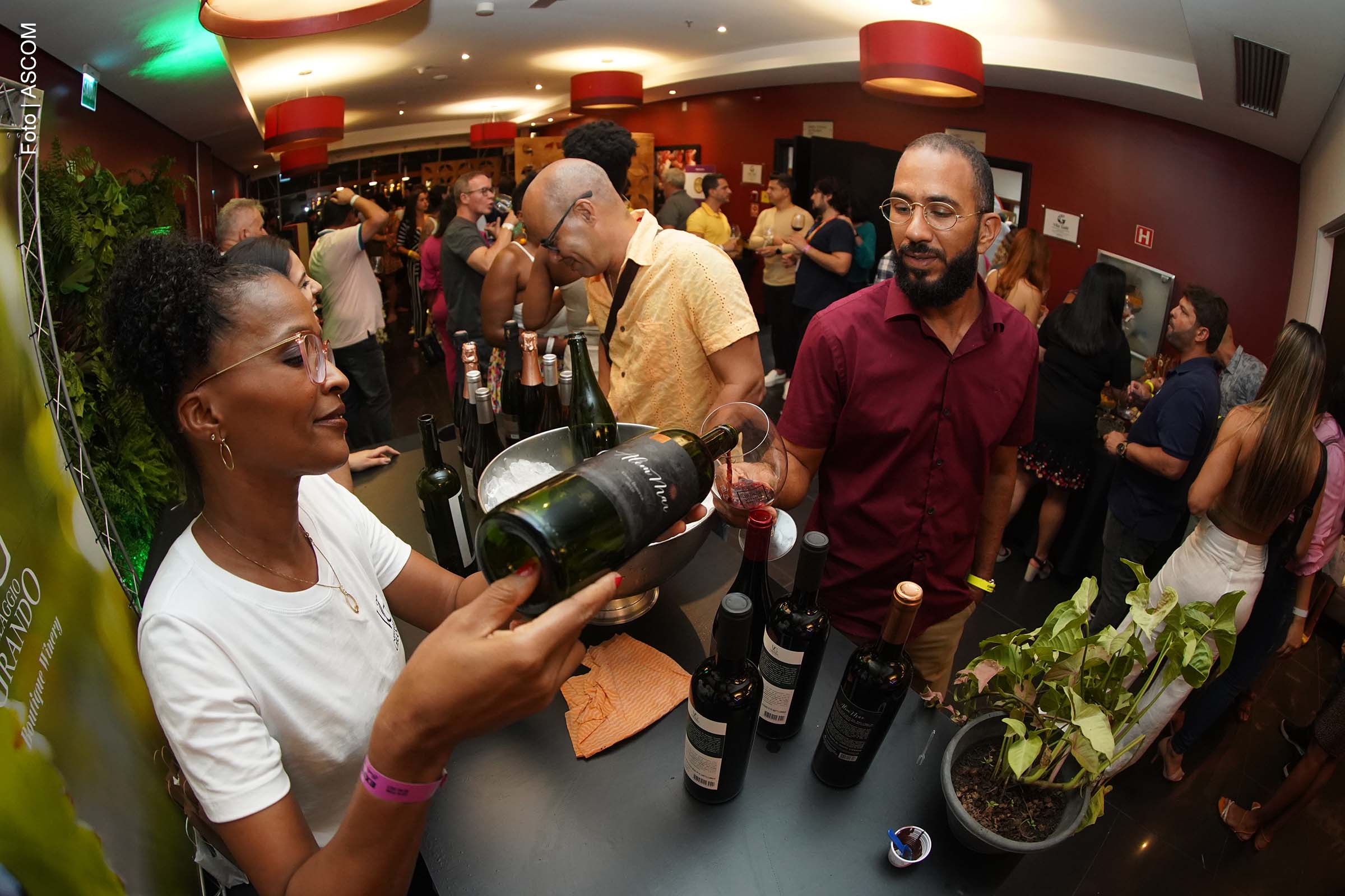 A 11ª edição do Bahia Vinho Show, evento consagrado no mercado de vinhos da Bahia, ocorrerá nos dias 6 e 7 de dezembro no Clube Espanhol, em Salvador. O evento, que terá uma programação diversificada, visa ampliar o alcance e fortalecer o setor de vinhos local. Com 22 expositores e uma série de palestras interativas, o encontro promete atrair tanto iniciantes quanto especialistas para uma experiência sensorial única.