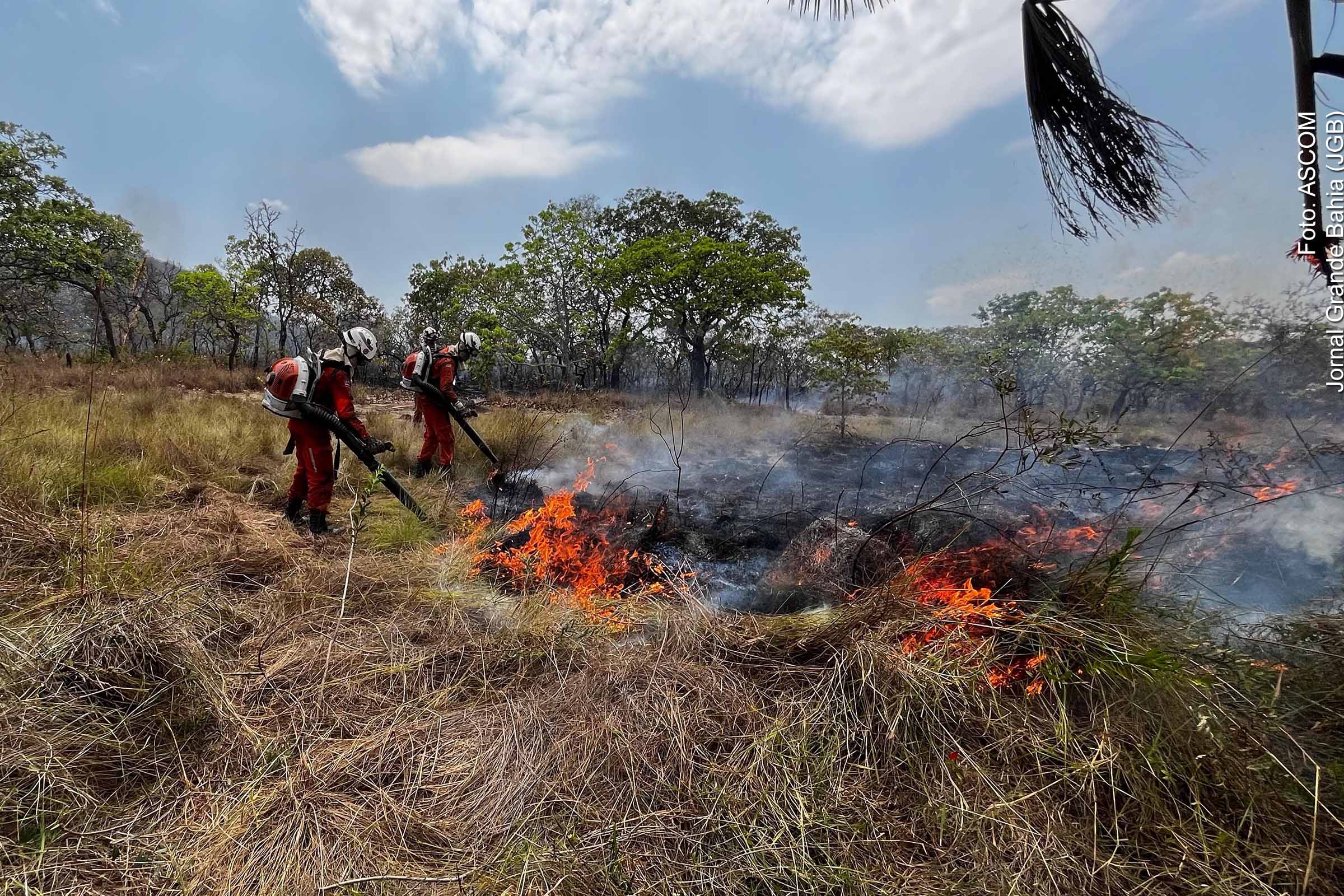 Corpo de Bombeiros combate 960 incêndios e prepara operação para temporada de chuvas na Bahia