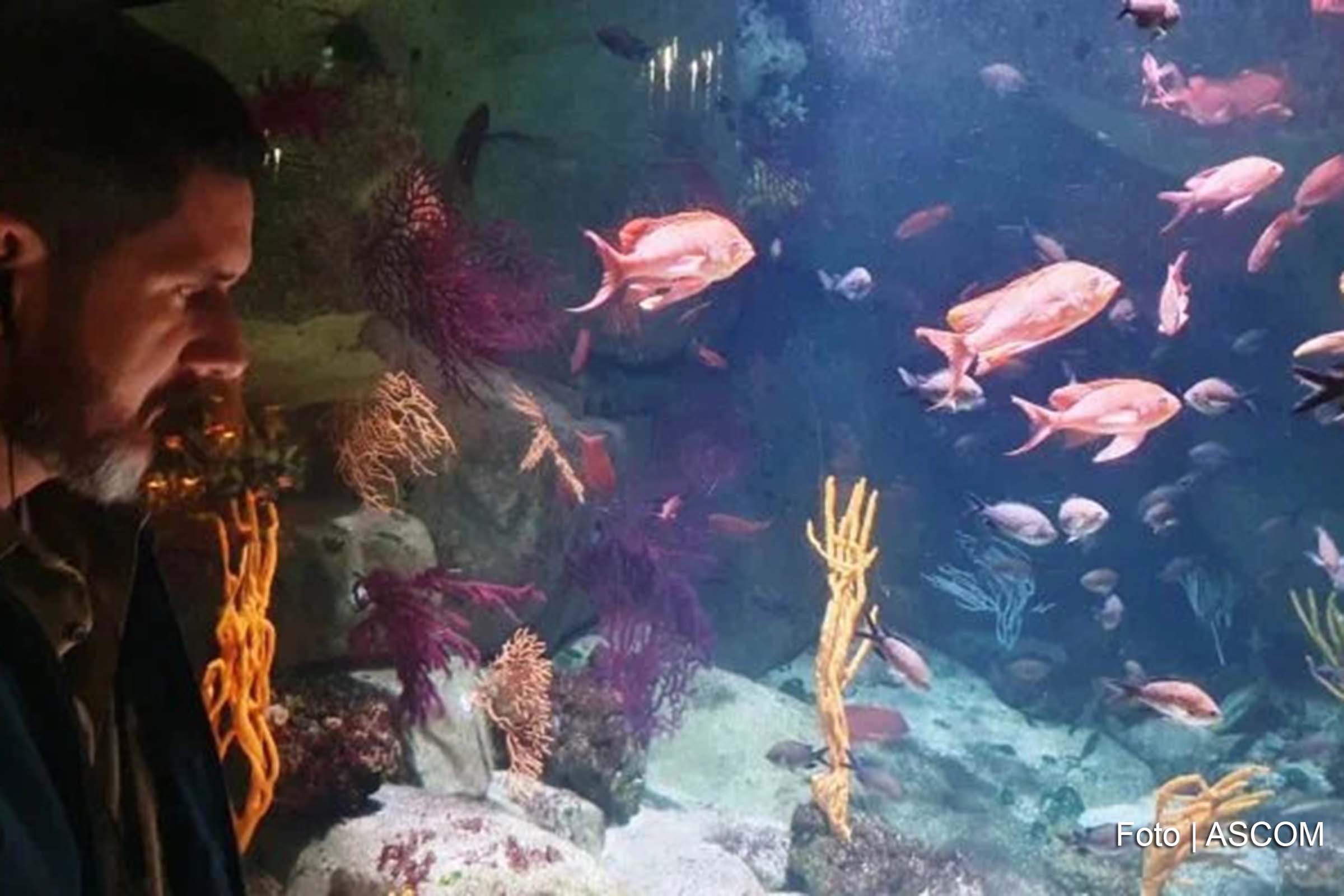 Comitiva baiana explora modelos internacionais para viabilizar o primeiro aquário imersivo da Bahia, voltado à preservação da fauna brasileira.