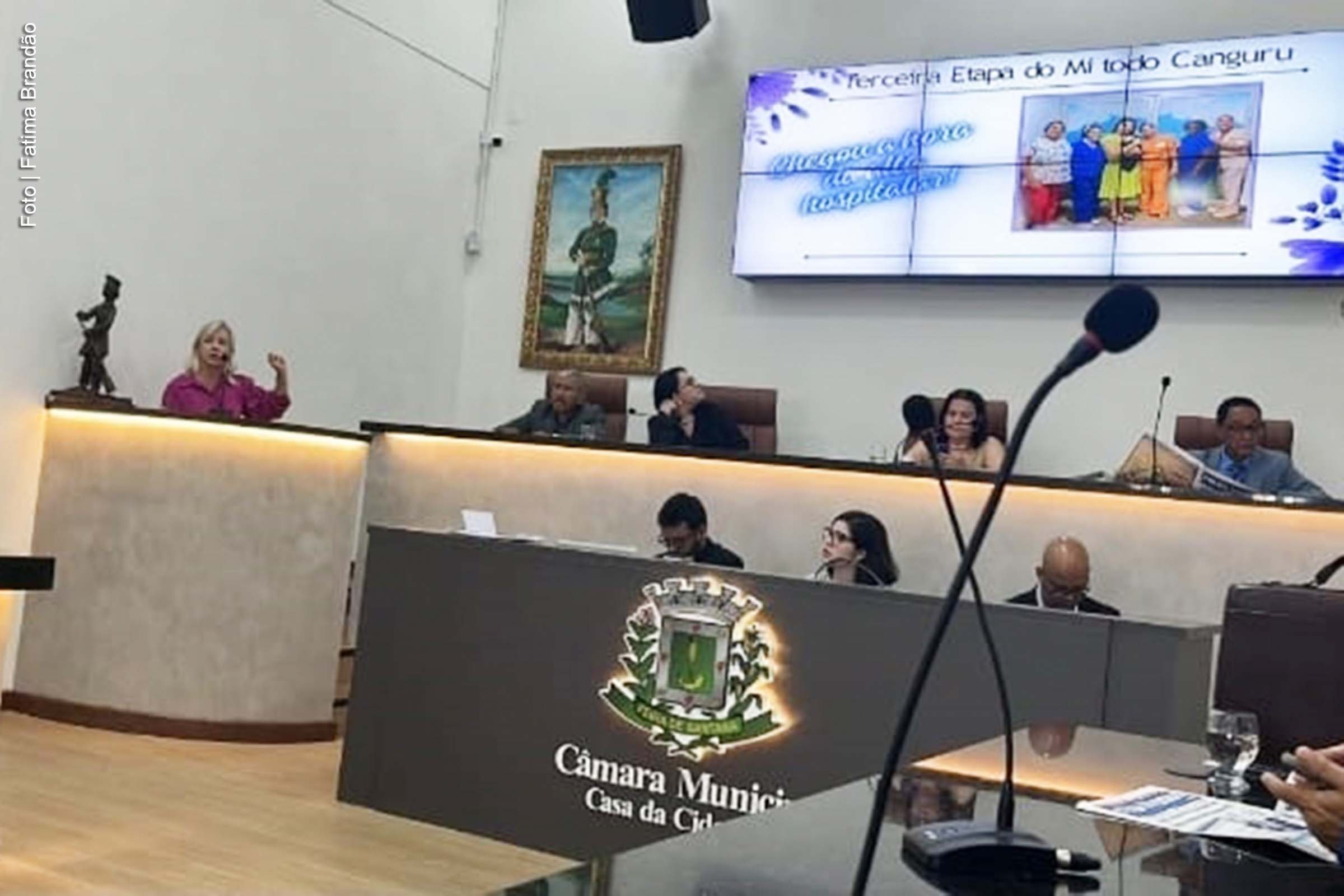 Equipe do Hospital da Mulher apresenta na Câmara ações voltadas ao cuidado com bebês prematuros.