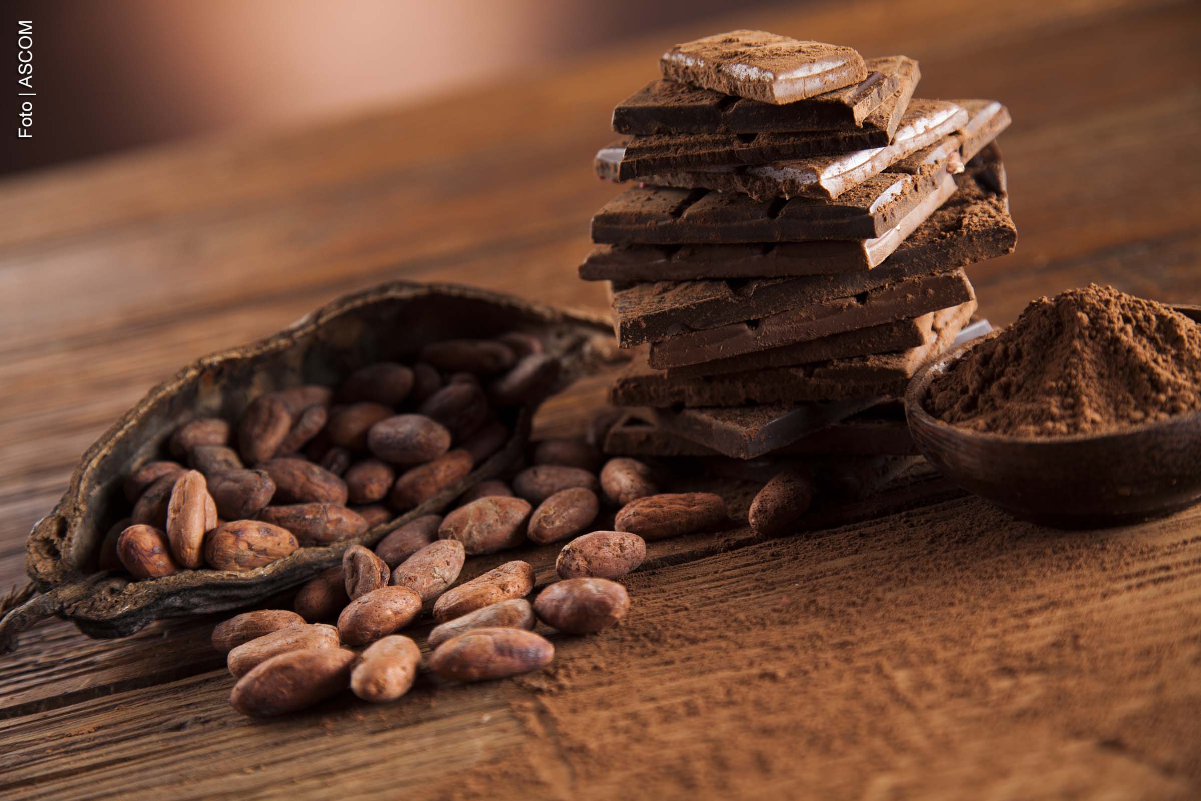 Marcas associadas ao Consórcio Cabruca, do Sul da Bahia, receberam 15 medalhas na premiação internacional Academy of Chocolate, realizada em Londres, sendo uma delas de ouro. Chocolates de empresas como Ju Arléo Chocolates, Benevides, Modaka, La Lis, Martinus, Bem Cacao, Cacau do Céu e Tombador Cacau foram reconhecidos pela qualidade em diversas categorias. Uma coletiva de imprensa será realizada para celebrar o prêmio.
