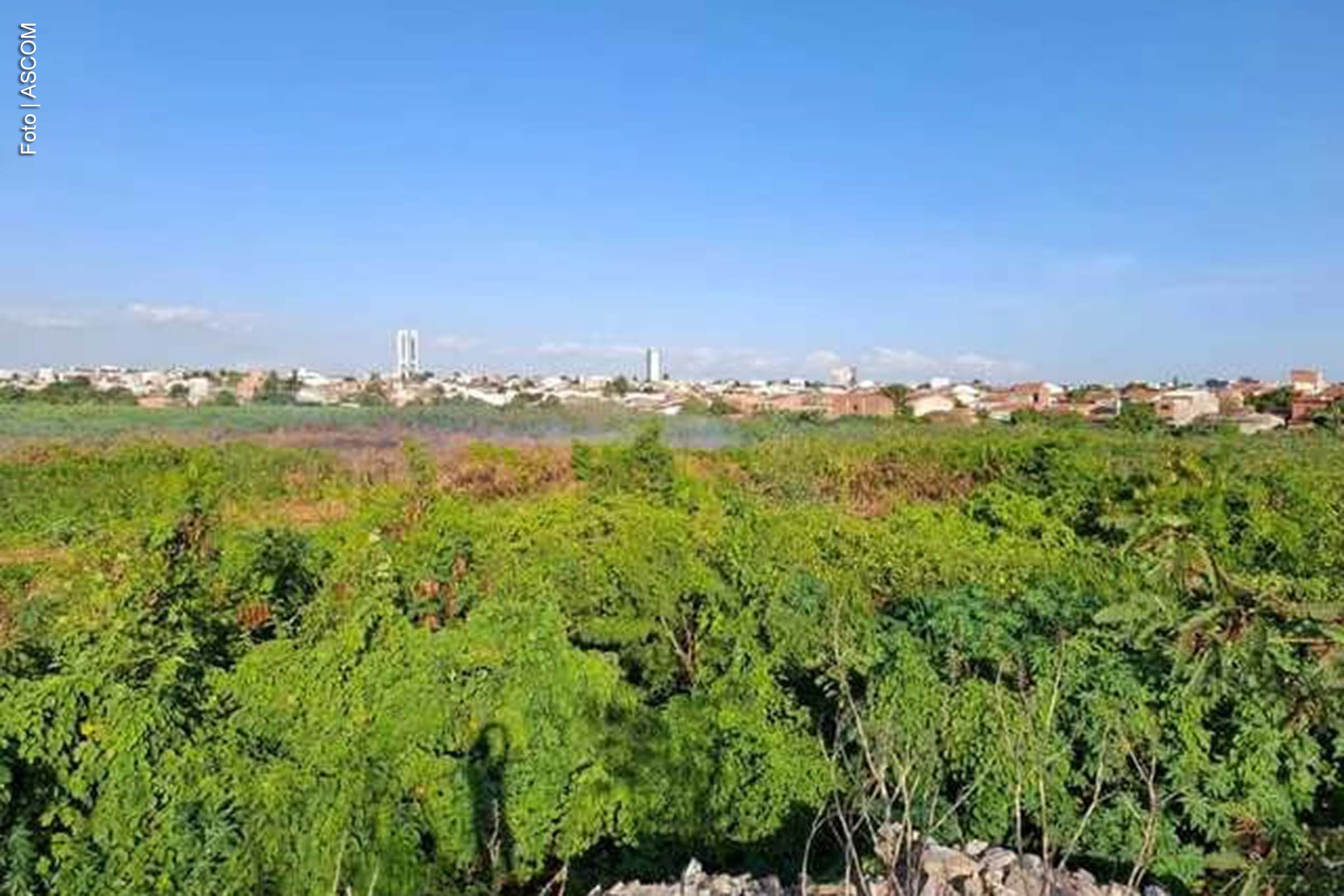 Feira de Santana: Queimadas na Lagoa do Prato Raso geram alerta para crimes ambientais e impactos na saúde, alerta vereador