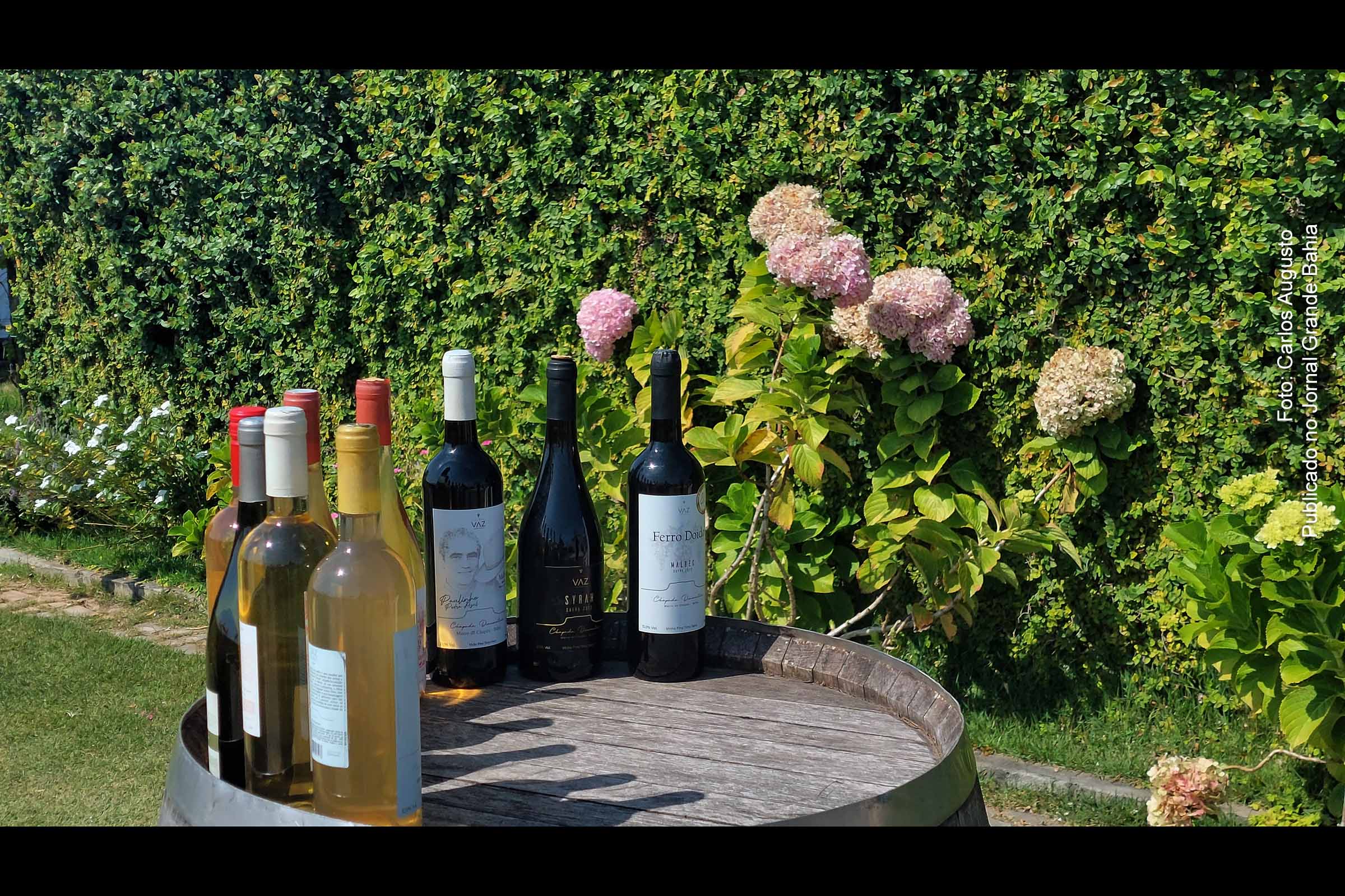 A Rota do Vinho da Chapada Diamantina é lançada pela Secretaria de Turismo do Estado da Bahia (Setur-BA) durante o XI Bahia Vinho Show, em Salvador. A iniciativa promove o enoturismo em municípios como Mucugê e Morro do Chapéu, destacando vinícolas premiadas e experiências imersivas para visitantes.
