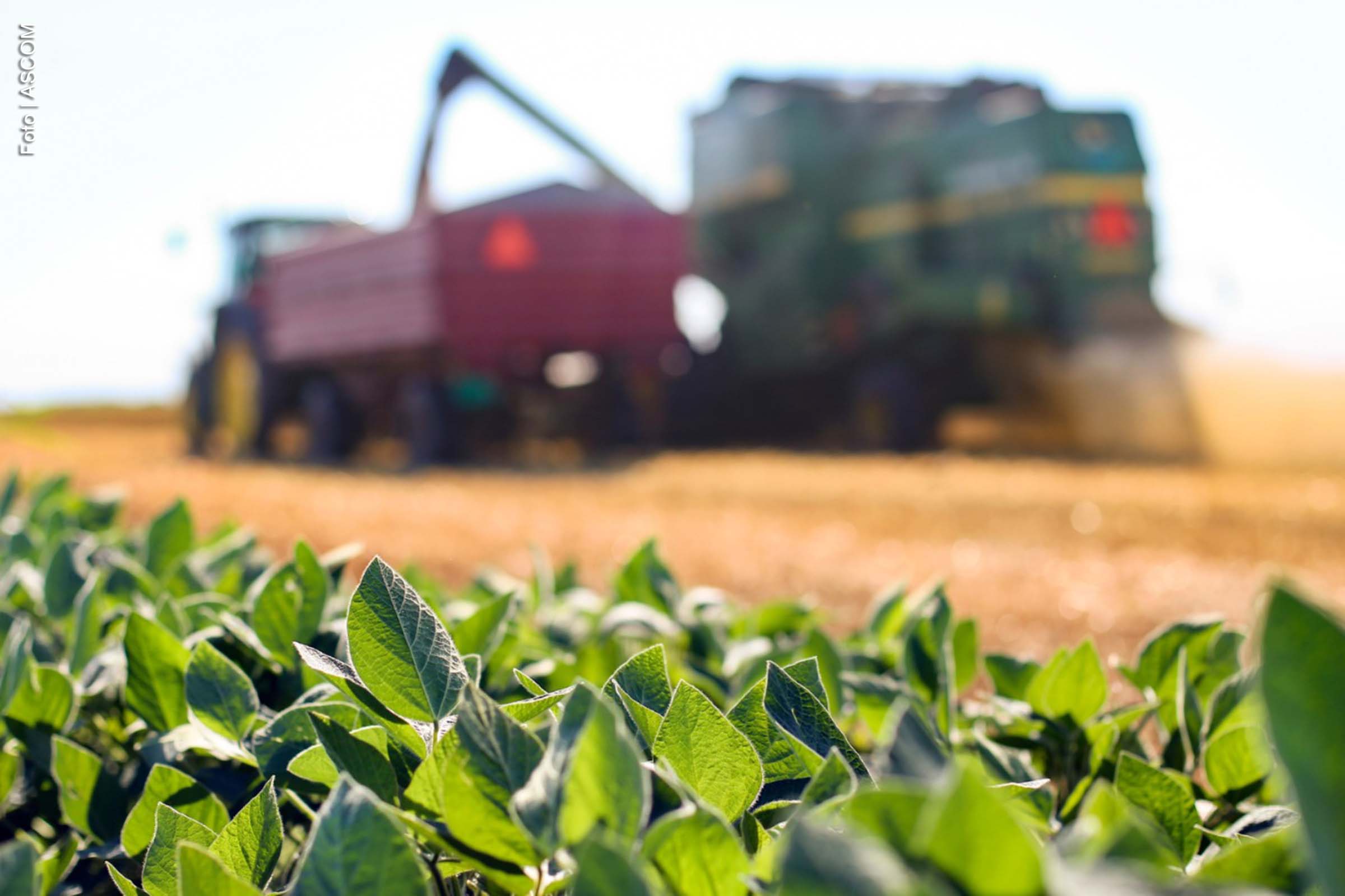 Em 2024, o agronegócio da Bahia alcançou um desempenho destacado, com exportações que totalizaram quase US$ 6,1 bilhões, representando 52% do total exportado pelo estado. O setor manteve-se como o principal responsável pelo superávit comercial do estado, que chegou a quase US$ 5,5 bilhões. A exportação de produtos agropecuários, apesar dos desafios enfrentados, consolidou a importância da Bahia no comércio internacional.