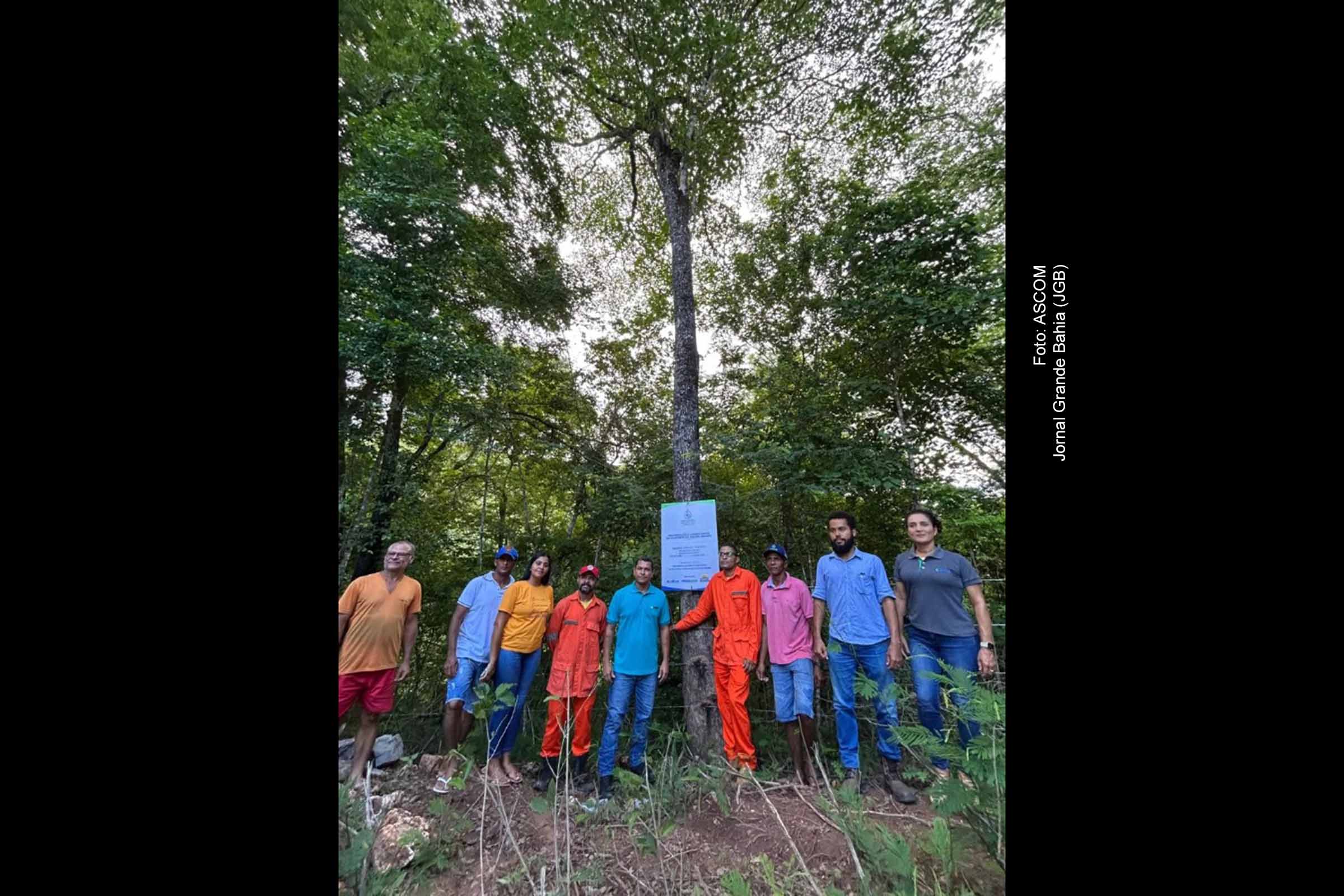 Projeto Nascentes do Oeste recupera 130 nascentes no Oeste da Bahia