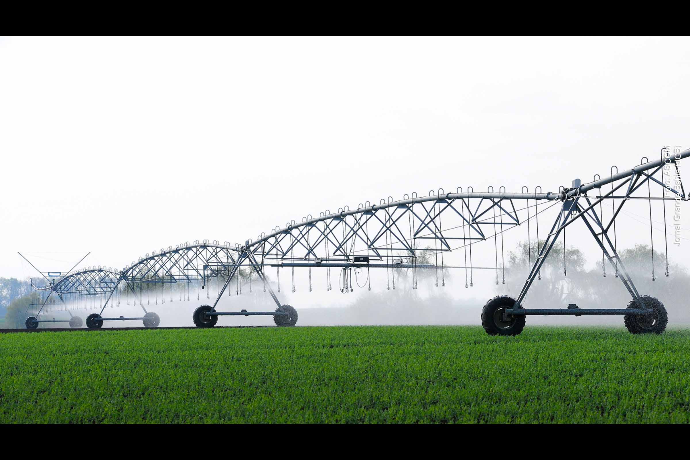 A região oeste da Bahia superou a Noroeste de Minas Gerais e agora lidera o país no uso de irrigação por pivôs centrais, com um crescimento notável em sua área irrigada. Esse avanço é atribuído à combinação de fatores favoráveis, incluindo a eficiência na utilização dos recursos hídricos do Aquífero Urucuia e o alto rendimento das culturas irrigadas. Municípios baianos como São Desidério e Barreiras se destacam no cenário nacional, garantindo à Bahia o segundo lugar no ranking estadual.