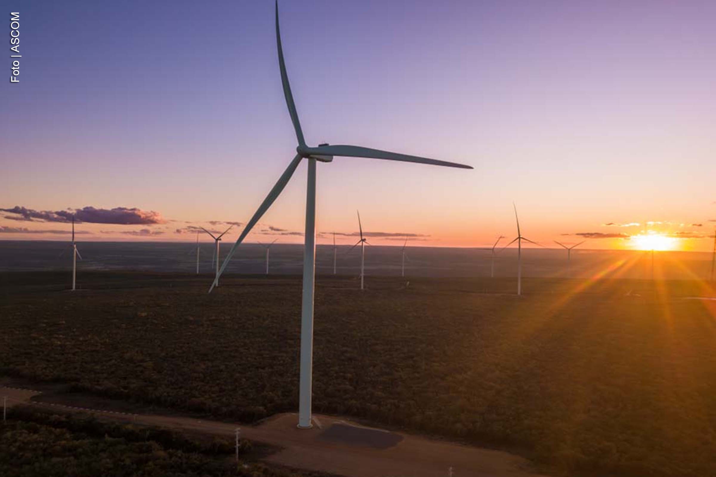 Ypê expande parceria com Casa dos Ventos em contrato de energia solar de R$ 230 milhões