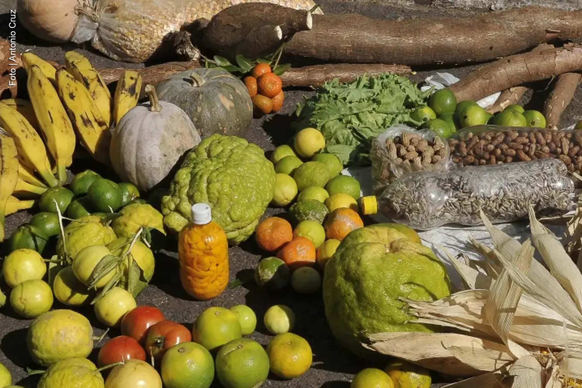 O Desenrola Rural, instituído pelo Governo Federal, visa renegociar as dívidas de aproximadamente 1,35 milhão de agricultores familiares e povos tradicionais no Brasil. O programa oferece descontos significativos nas dívidas rurais, abrangendo créditos do Pronaf, Dívida Ativa da União e débitos do Incra. A adesão ao programa pode ser feita a partir de 24 de fevereiro e vai até 31 de dezembro de 2025, com a expectativa de ajudar na recuperação financeira do setor rural. O programa também estabelece condições diferenciadas para cada tipo de crédito, com descontos de até 96% em algumas modalidades.