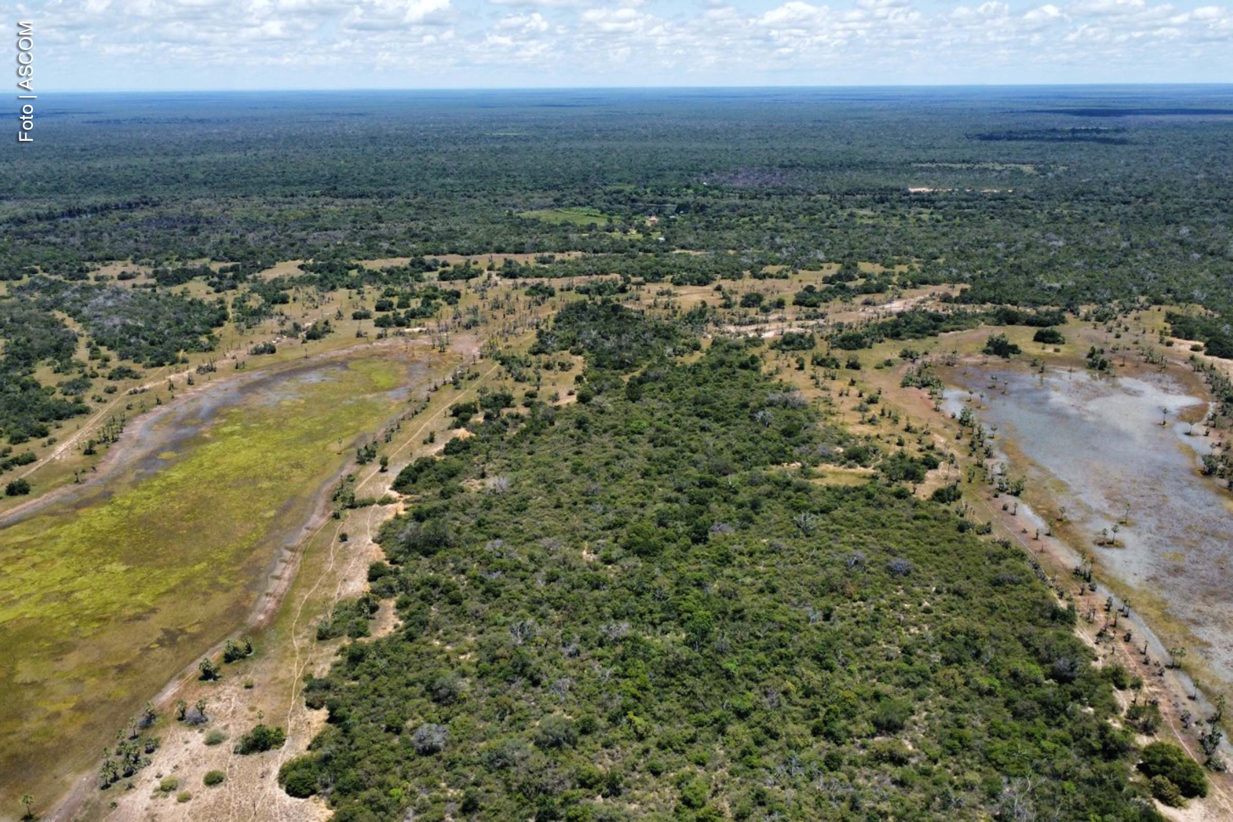 Três novas Reservas Particulares do Patrimônio Natural (RPPNs) foram criadas na Bahia em 31 de janeiro de 2025, data do Dia Nacional das RPPNs, por meio de uma iniciativa do projeto ‘Biomas da Bahia’, coordenado pelo Ministério Público do Estado da Bahia (MPBA). O reconhecimento, que se dá em virtude da Lei Federal n. 13.544/2017, visa apoiar a preservação de áreas nativas e a ampliação das unidades de conservação no estado. A medida foi anunciada pela Secretaria Estadual de Meio Ambiente (Sema) e inclui áreas nos biomas do cerrado e da caatinga.