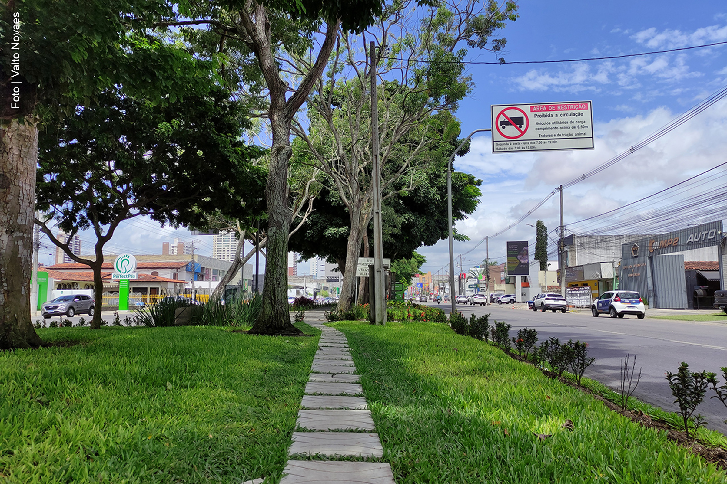 Feira de Santana: Plantio de grama no canteiro central transforma paisagem da Avenida Getúlio Vargas