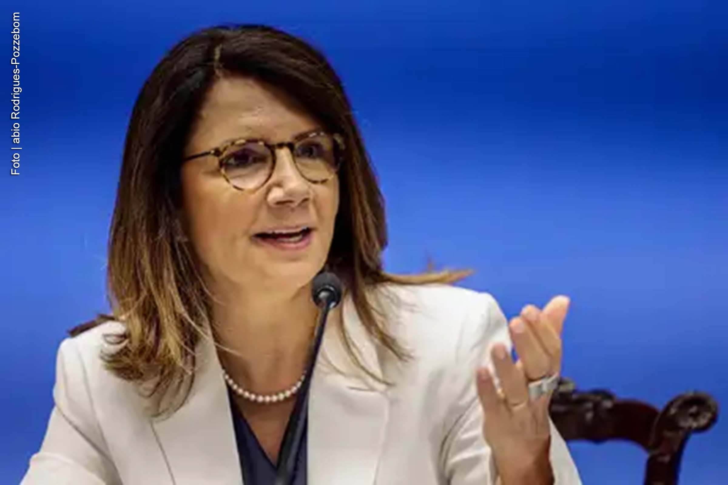 O decreto determina que o órgão será composto por oito pessoas, incluindo o presidente designado e a diretora-executiva designada, Ana Tôni.