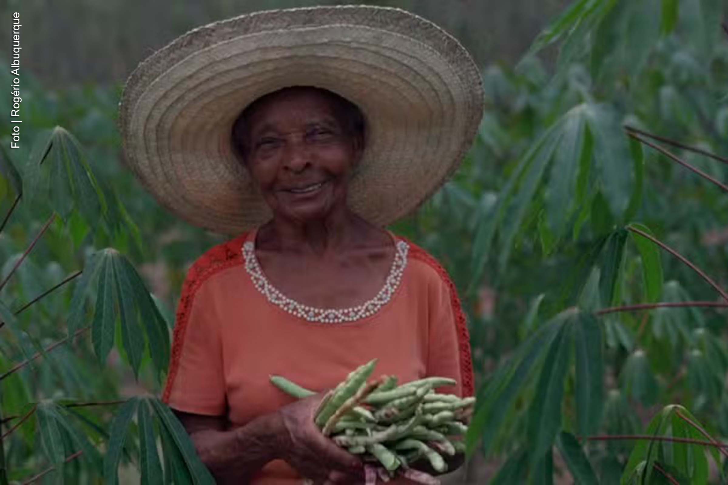 Dia de São José marca início do período de plantio em Feira de Santana