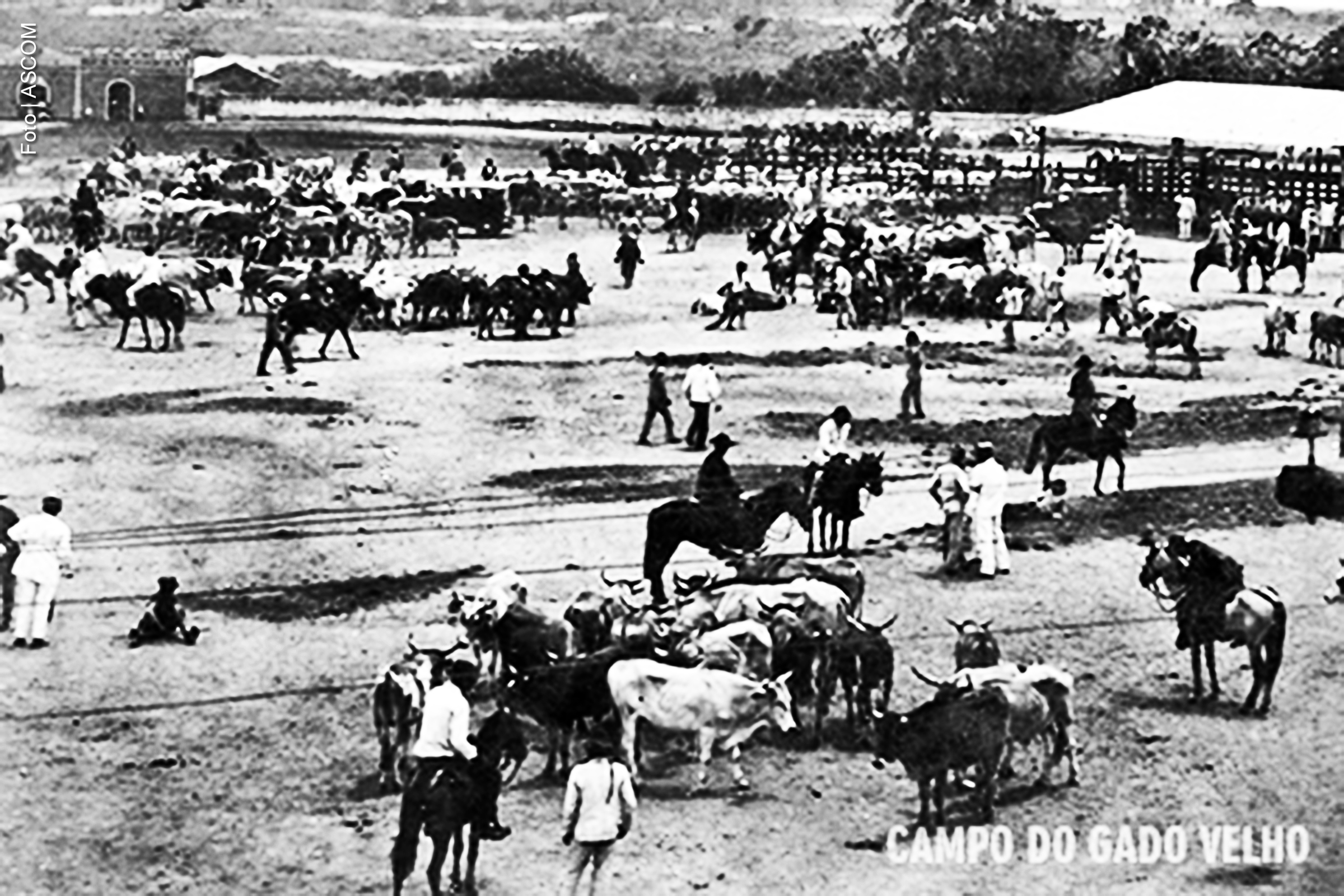 Cidade ampliou serviços e infraestrutura com a articulação de agentes locais e estaduais ao longo de cinco décadas.