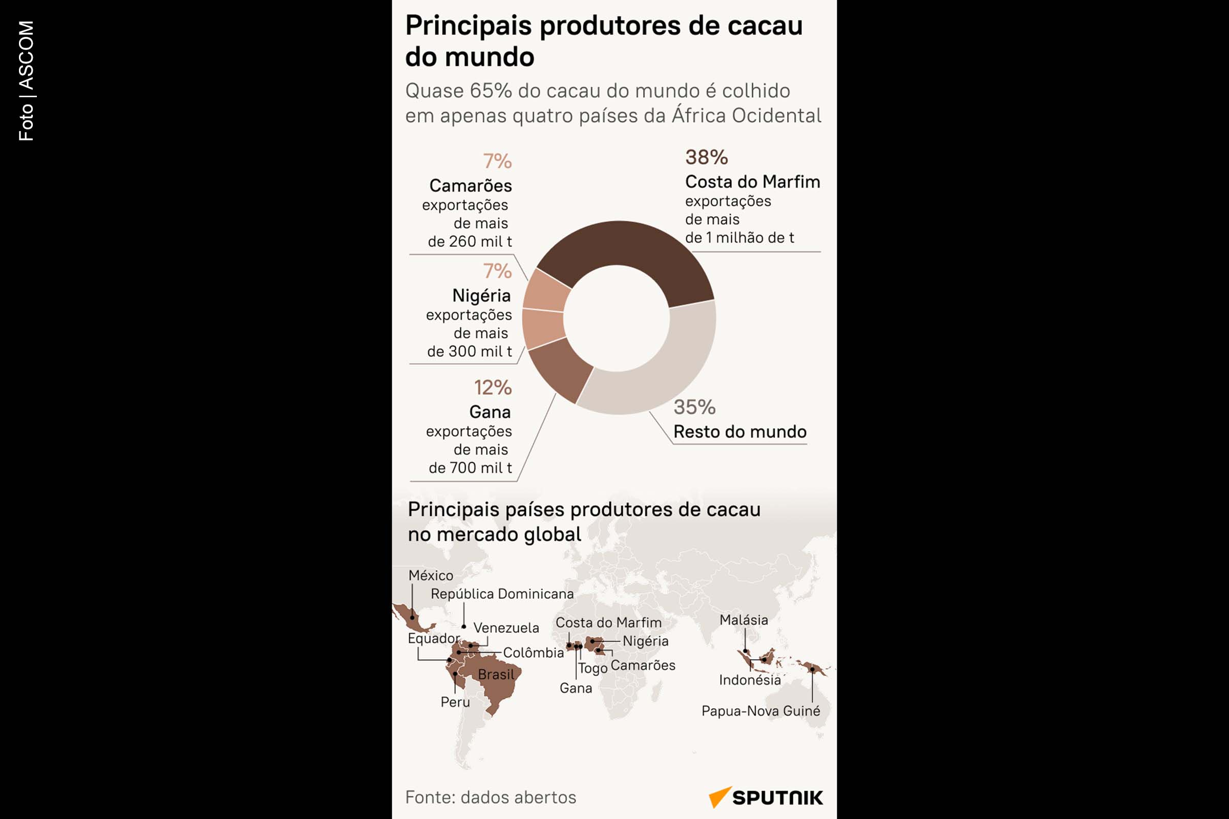 Costa do Marfim, Gana, Nigéria e Camarões são os principais países produtores de cacau no mundo.