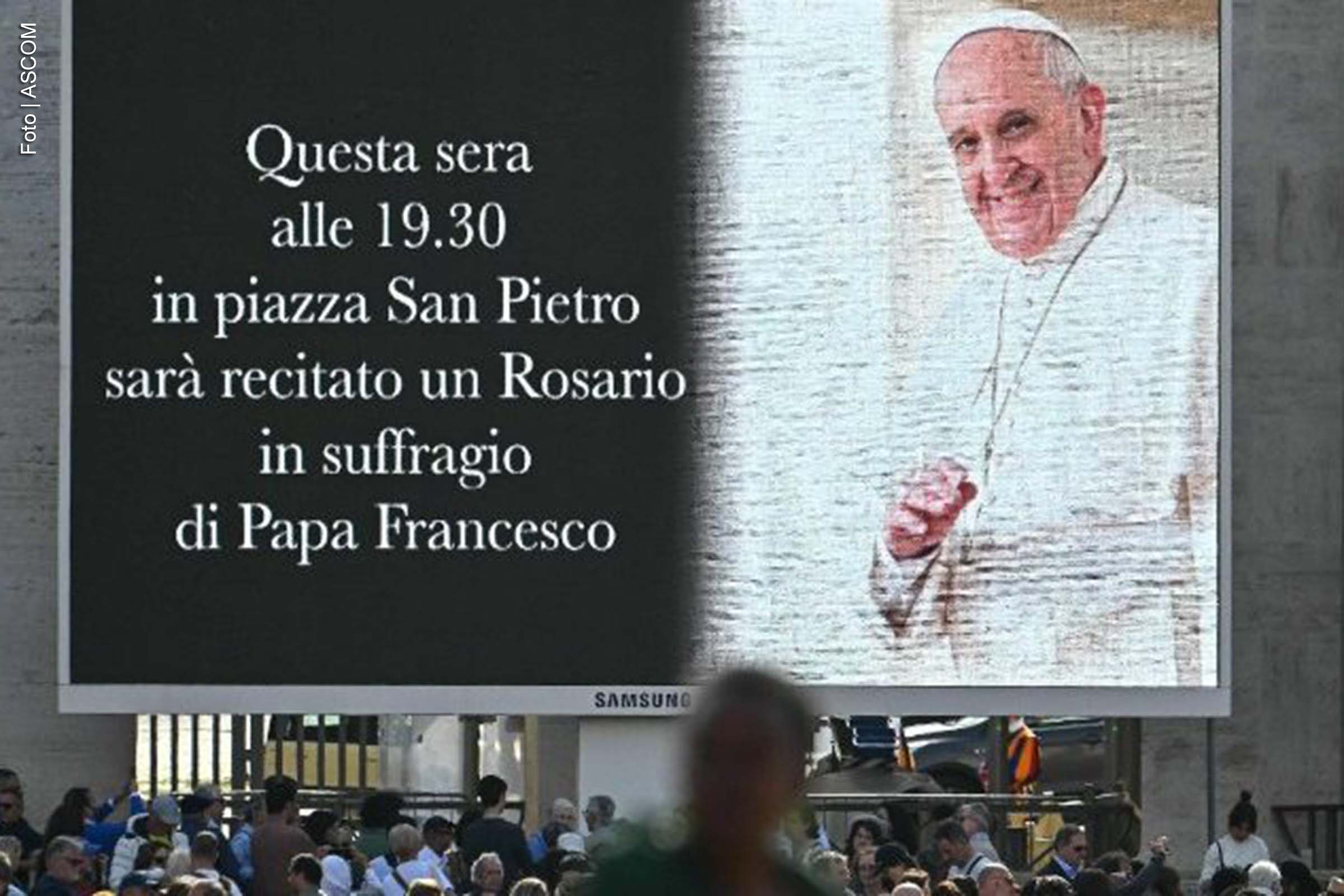 Jovens brasileiros ressaltam paternidade espiritual do Papa Francisco durante cerimônias no Vaticano
